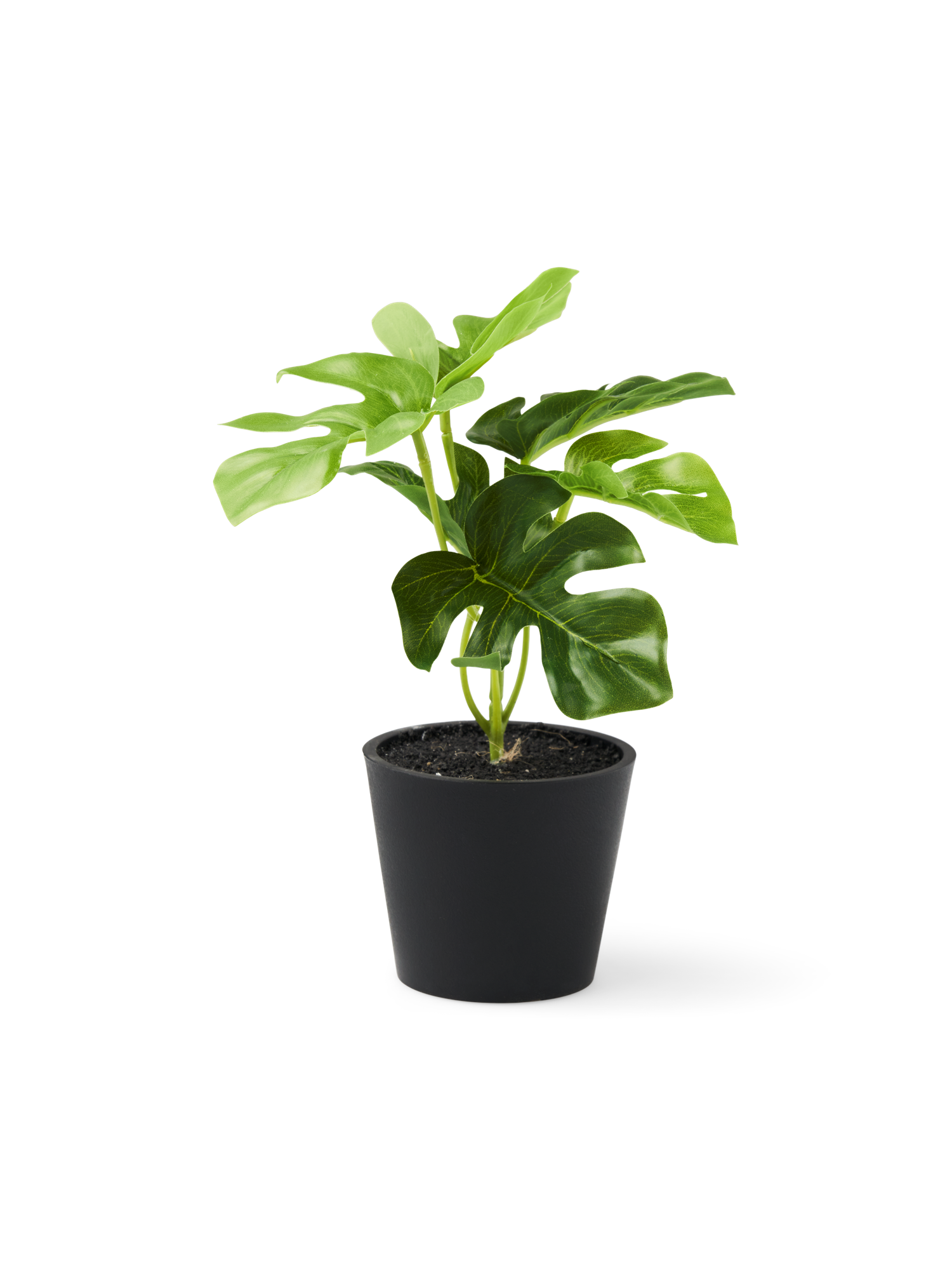 Artificial monstera in pot Ø7 x 6 cm.