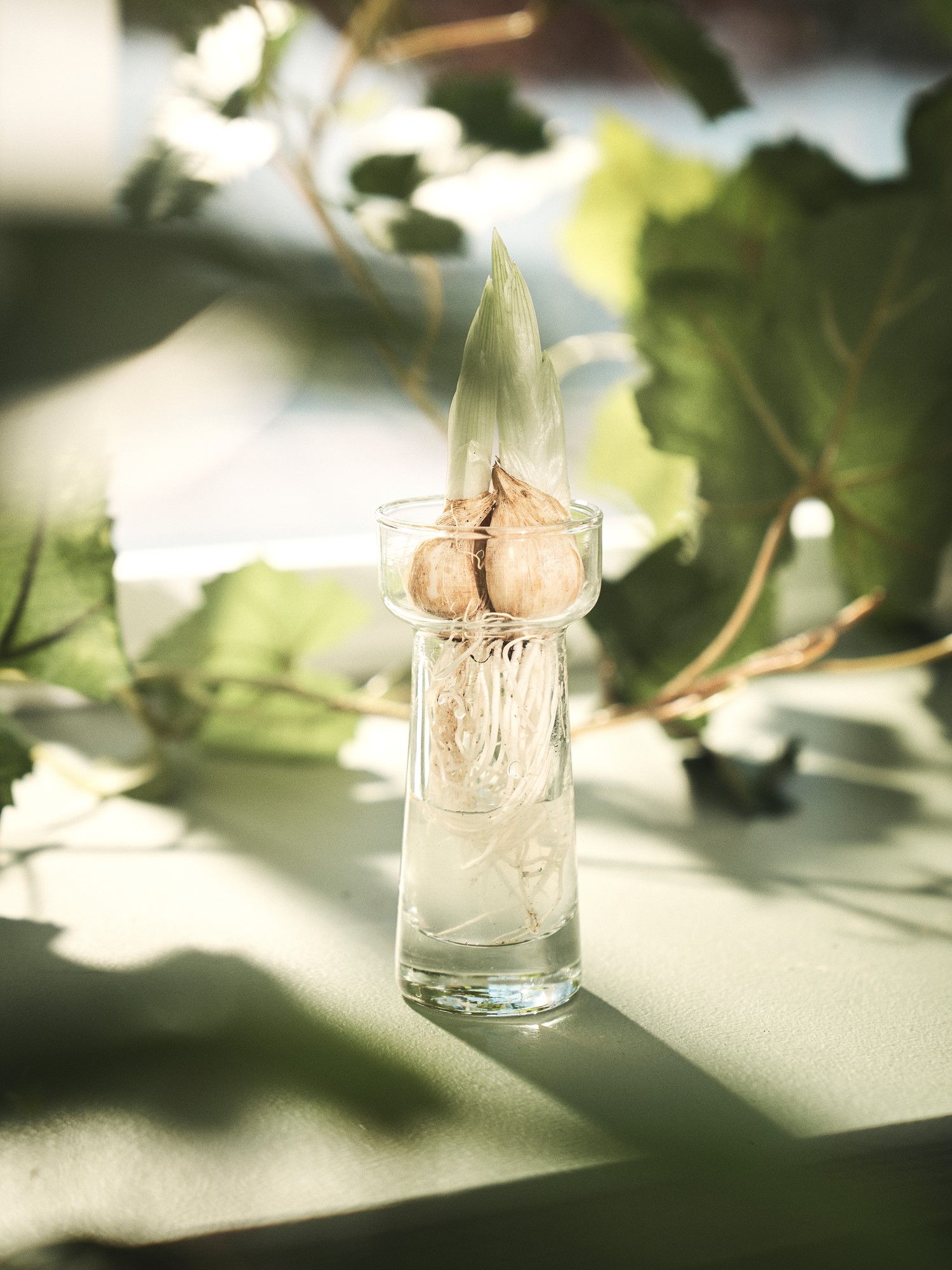 Vase Glass. Ø4.8 x 10 cm.