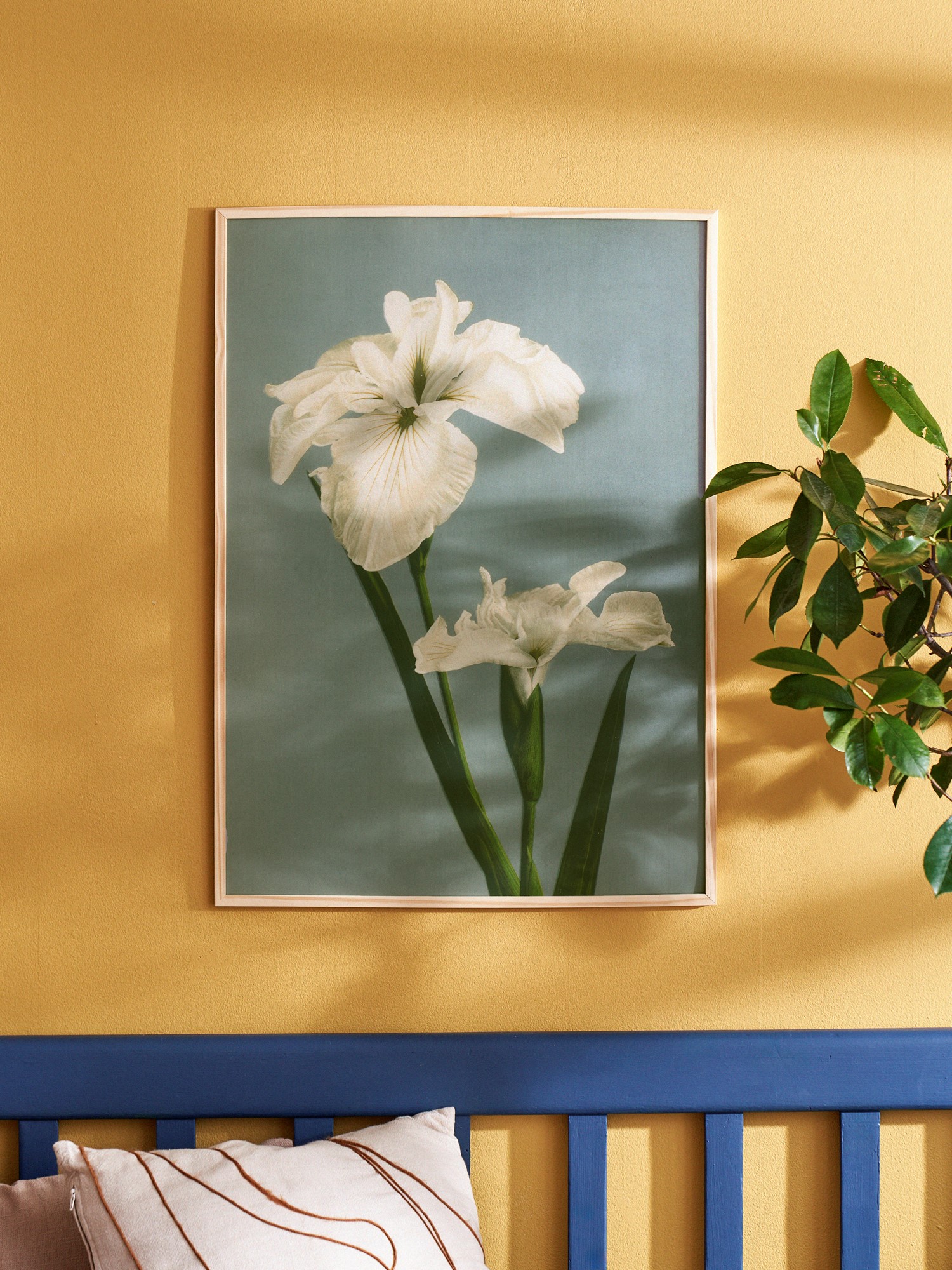 Poster 50 x 70 Paper.