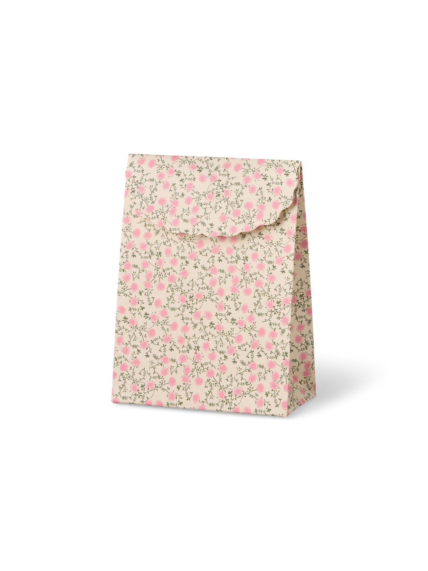 Envelope gift bag Paper. 16.5 x 12.5 x 6 cm.