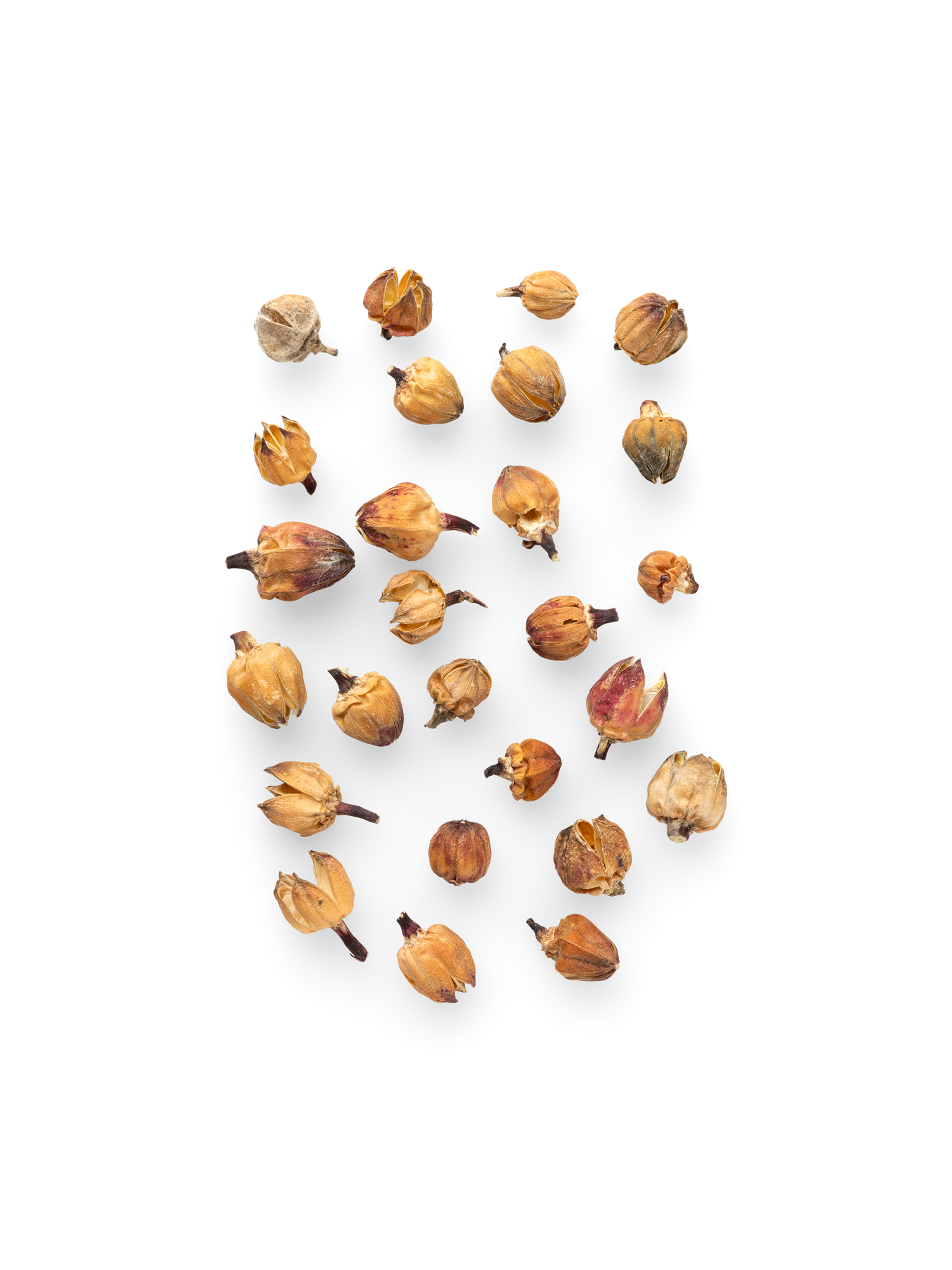 Decorative flower heads 20 g.