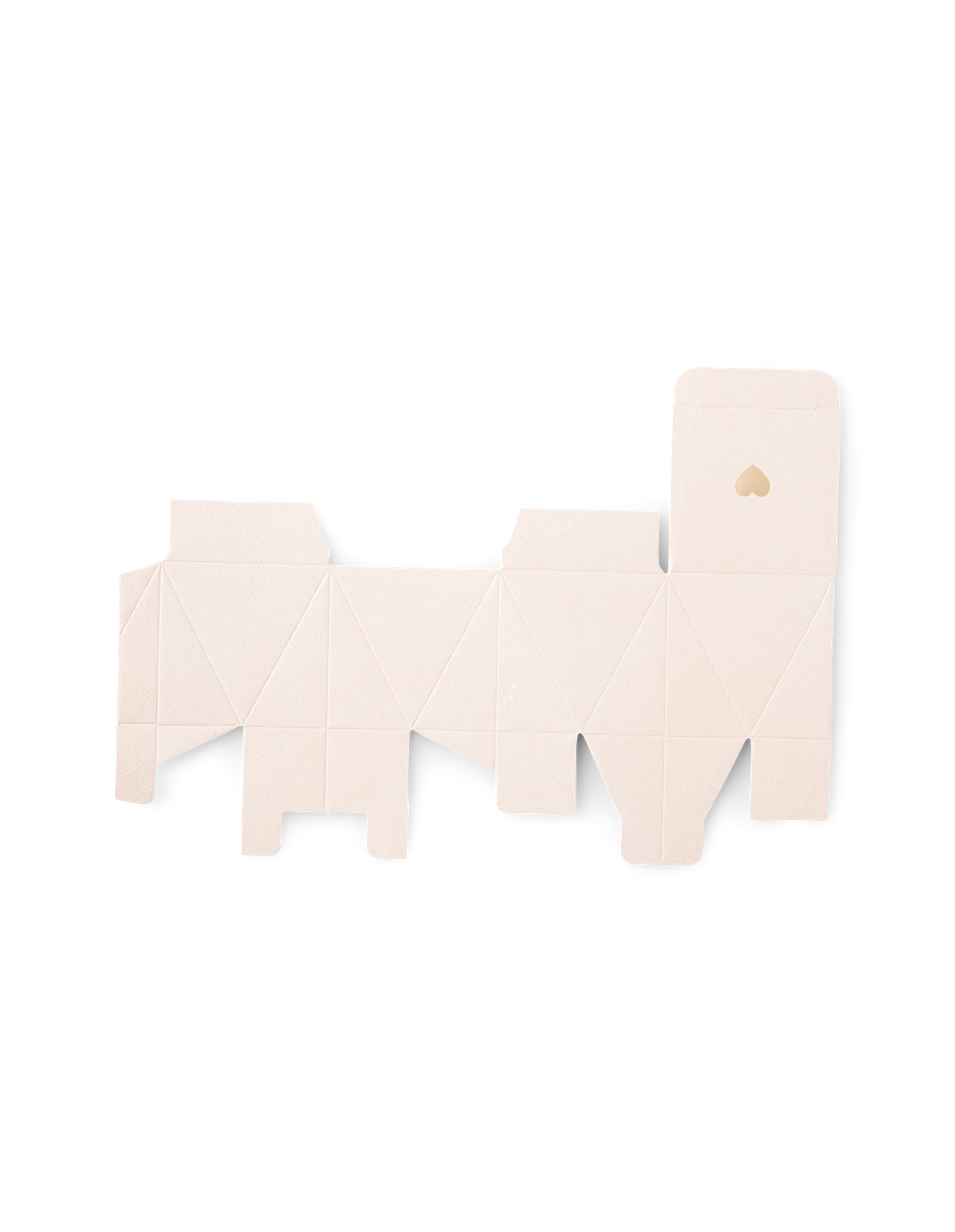 Favour boxes Paper. 18 x 24.5 cm. 6 pcs.