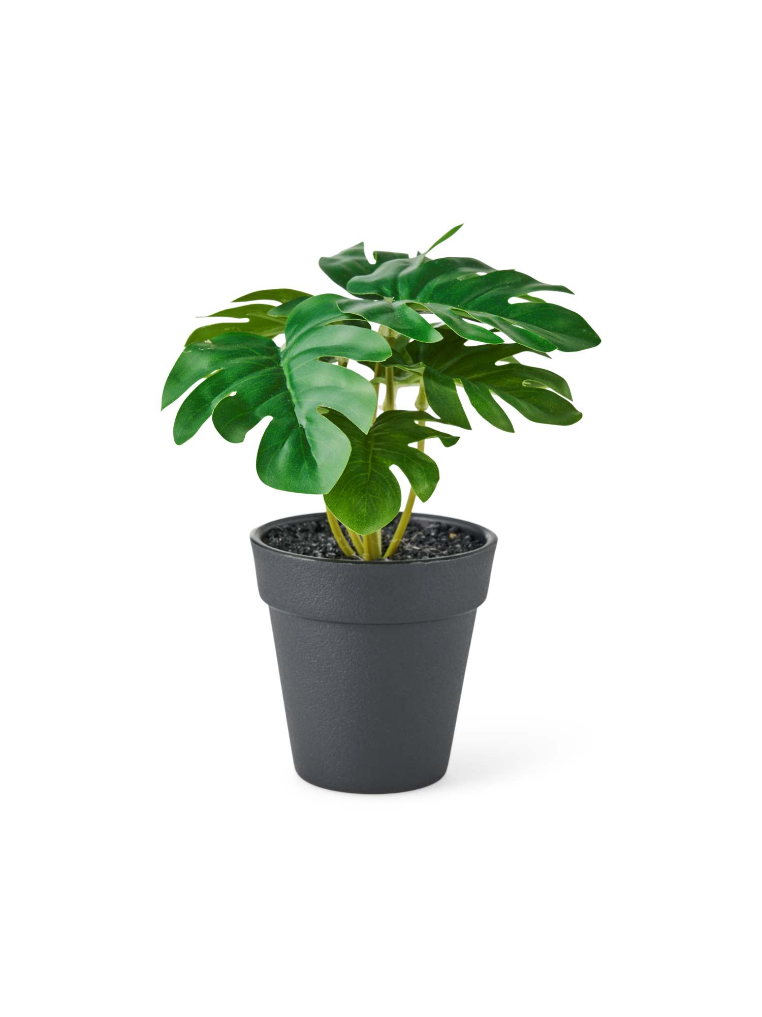 Artificial plant in pot Ø8 x 18 cm.