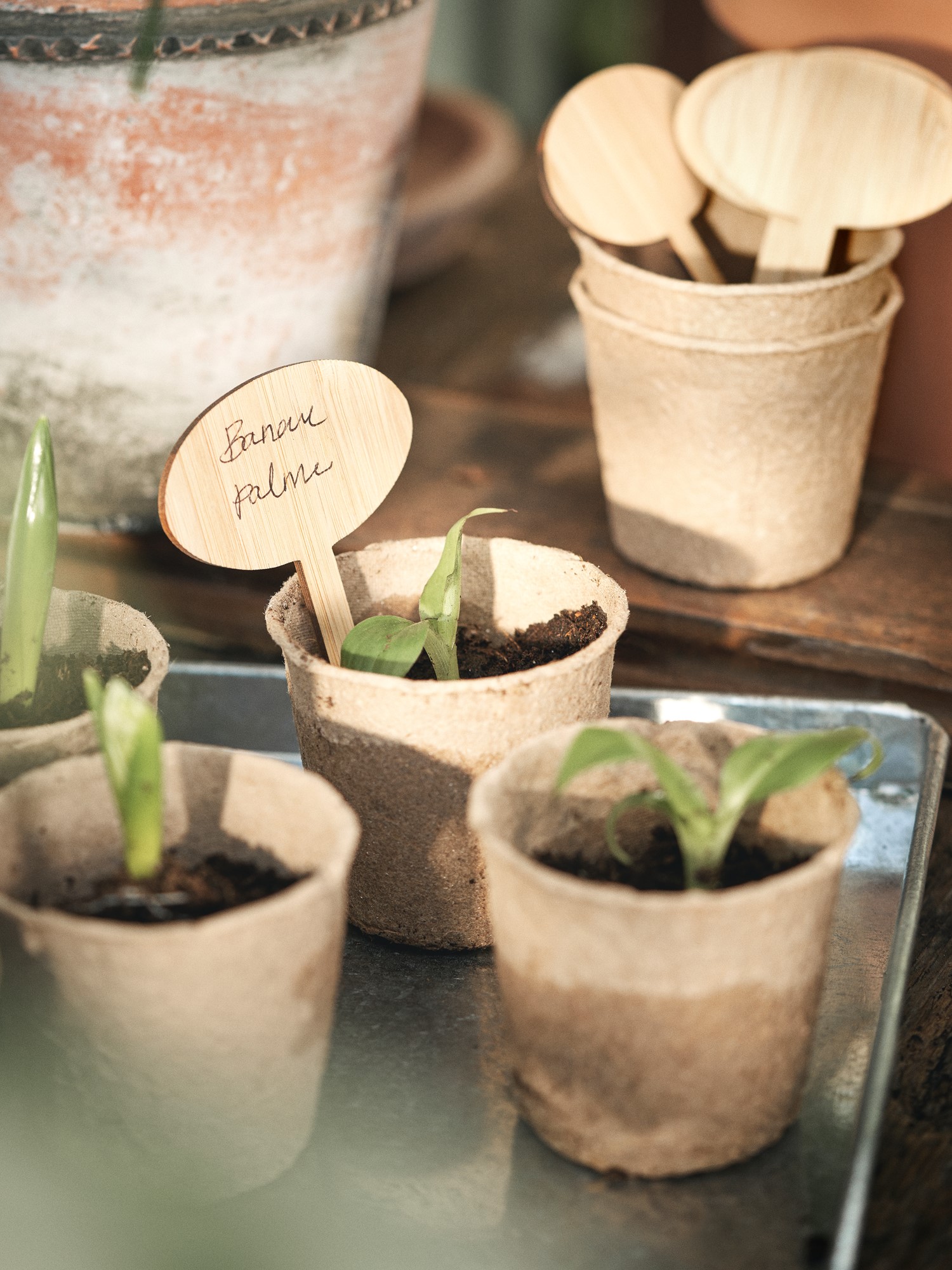 Plant markers Bamboo. 10 x 6 cm. 10 pcs.