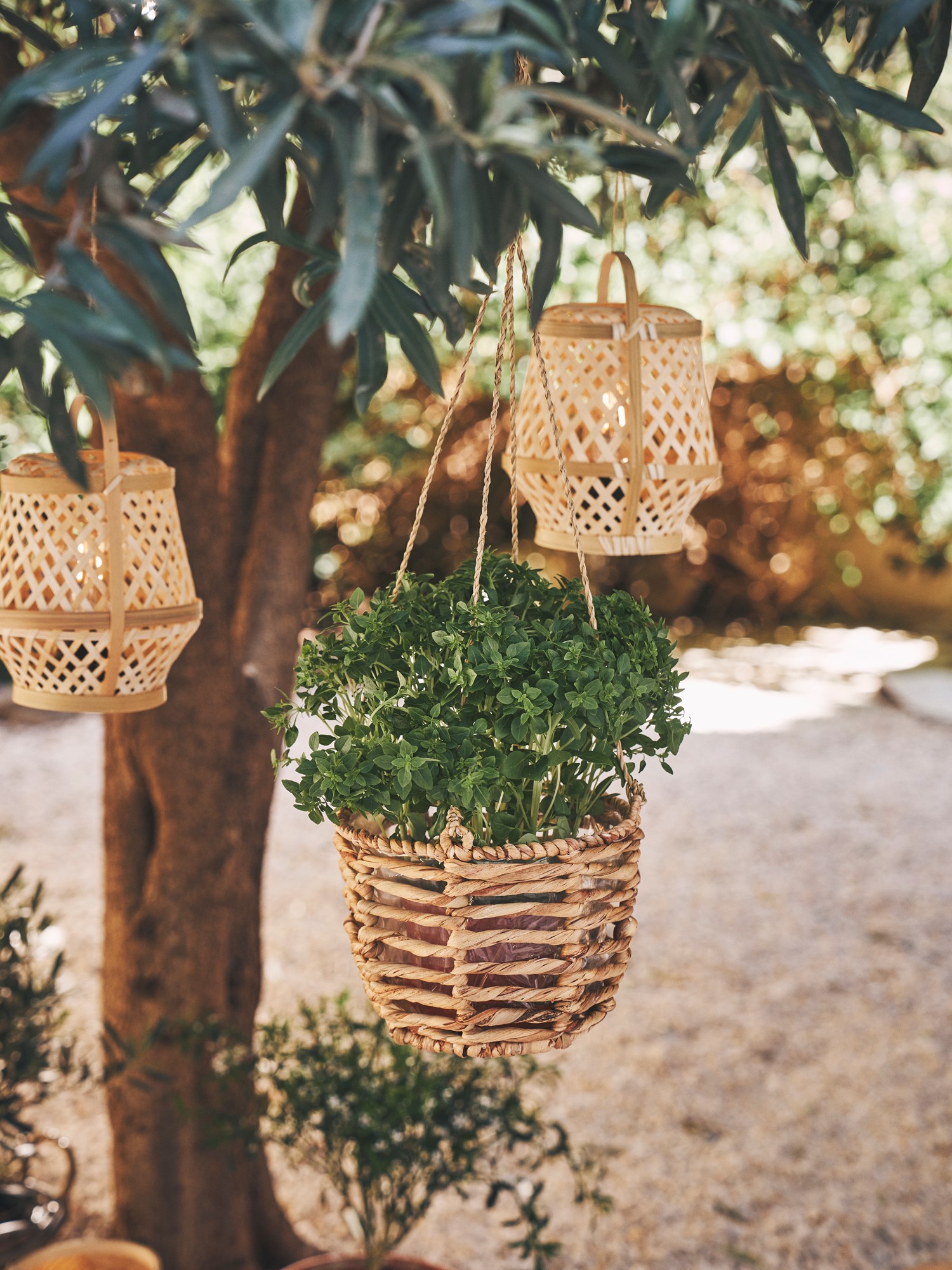 Hanging flowerpot Seagrass/water hyacinth. Ø20 x 15 cm.