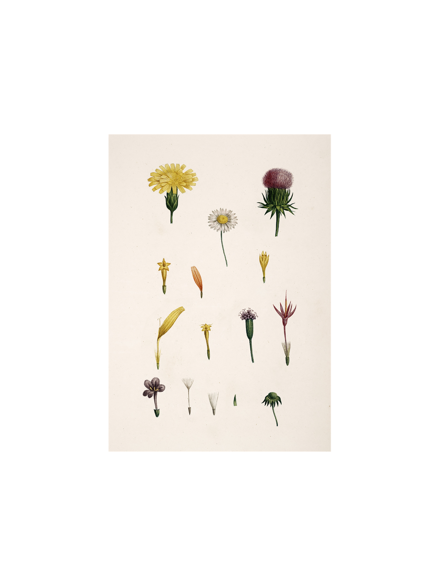 Poster A3 Paper. 29.7 x 42 cm.