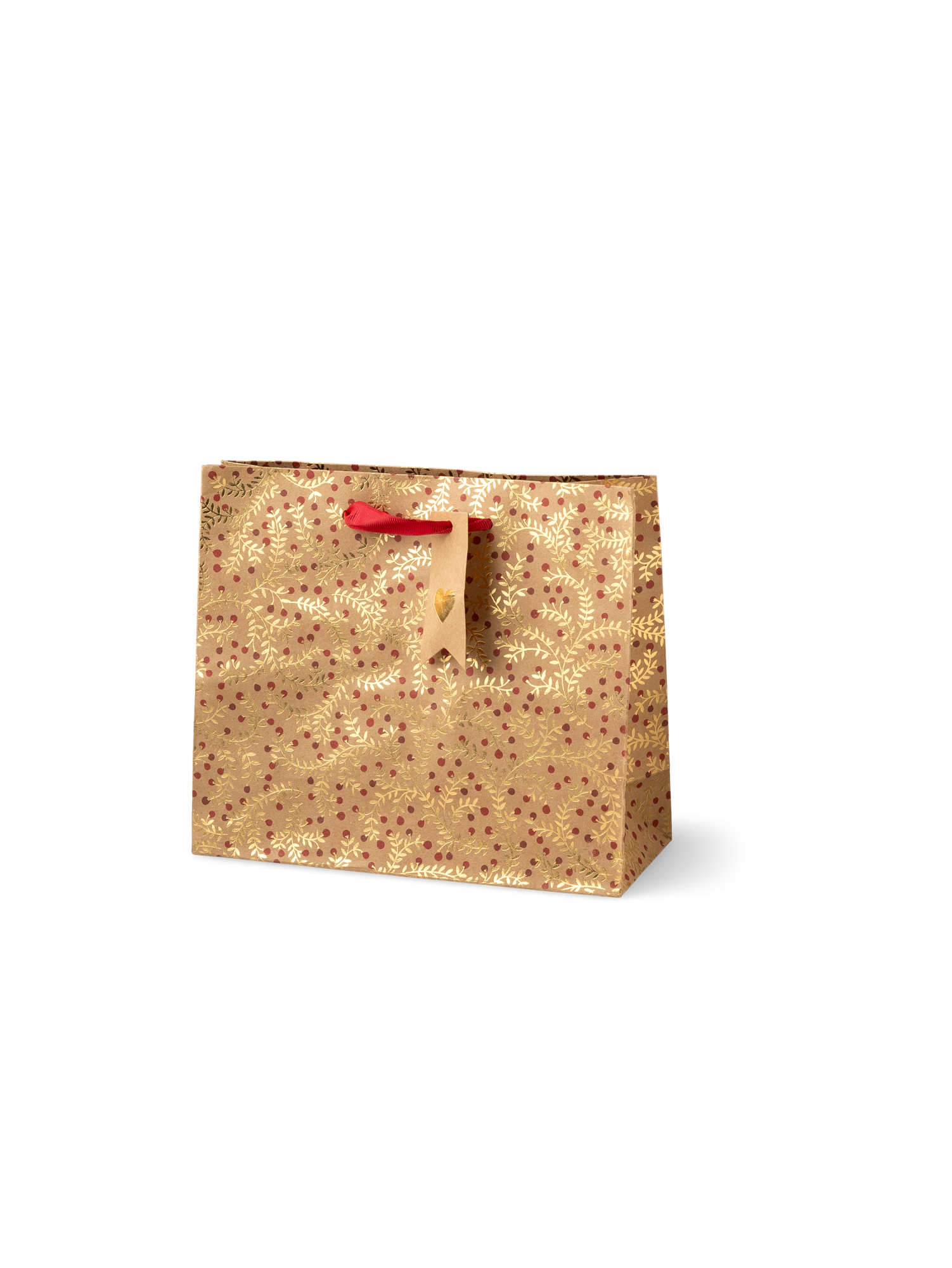 Gift bag Paper. 21 x 18 x 8 cm.