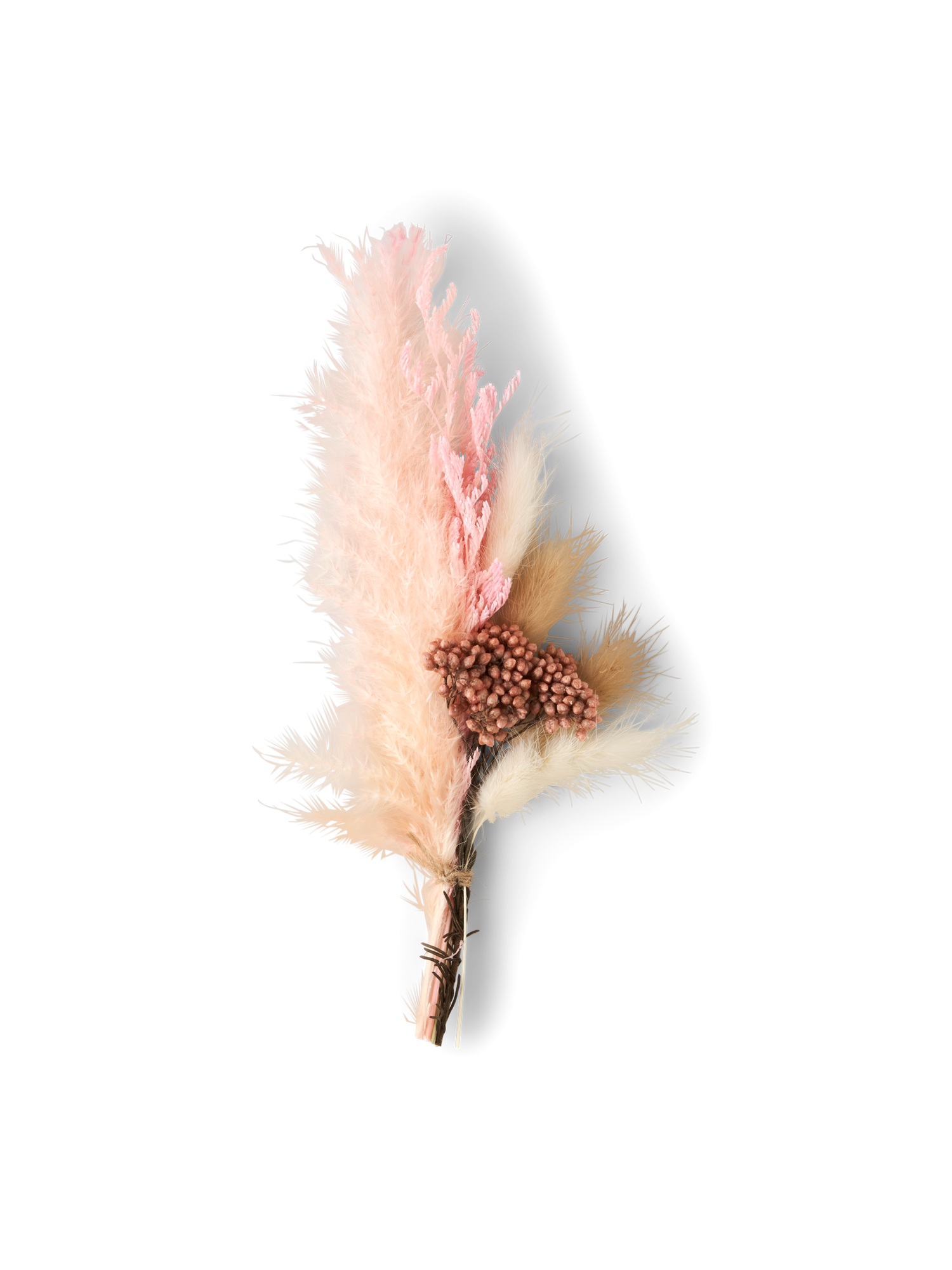 Dried flowers for DIY Dried flowers.