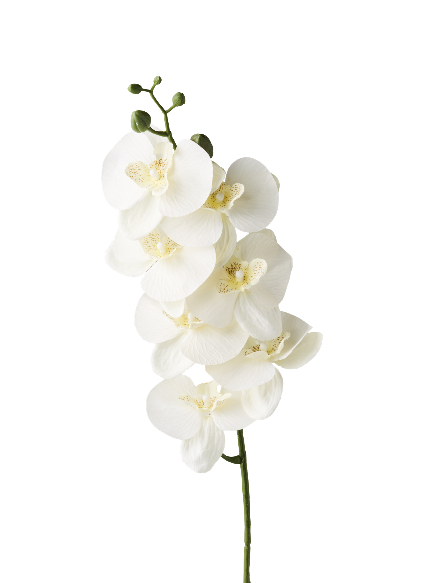 Artificial flower orchid 74 cm.