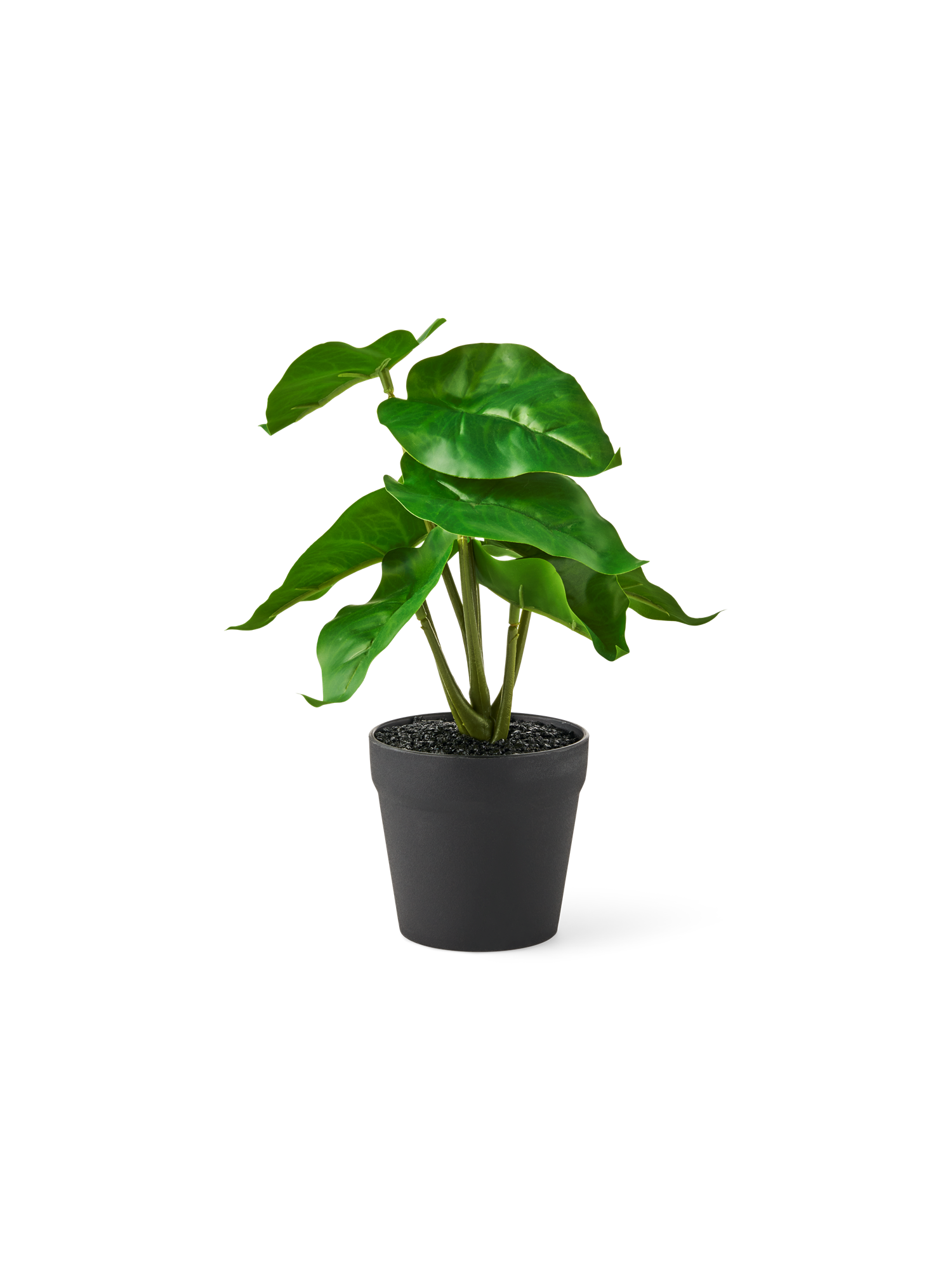 Artificial plant in pot philodendron Ø9 x 22 cm.