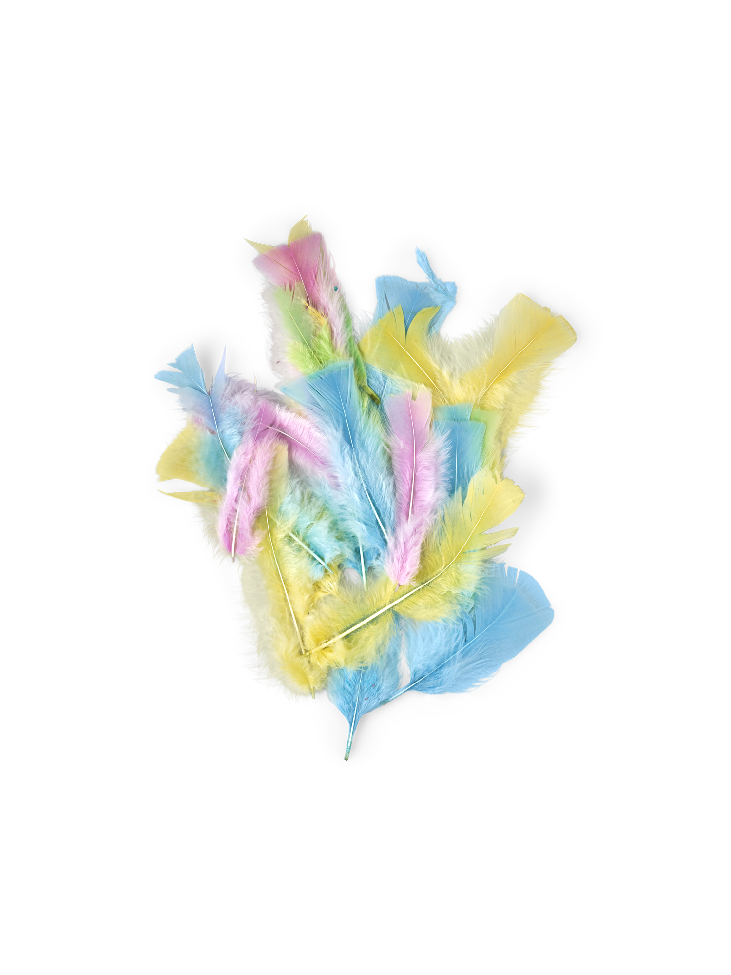 Feathers Turkey. 12 g.