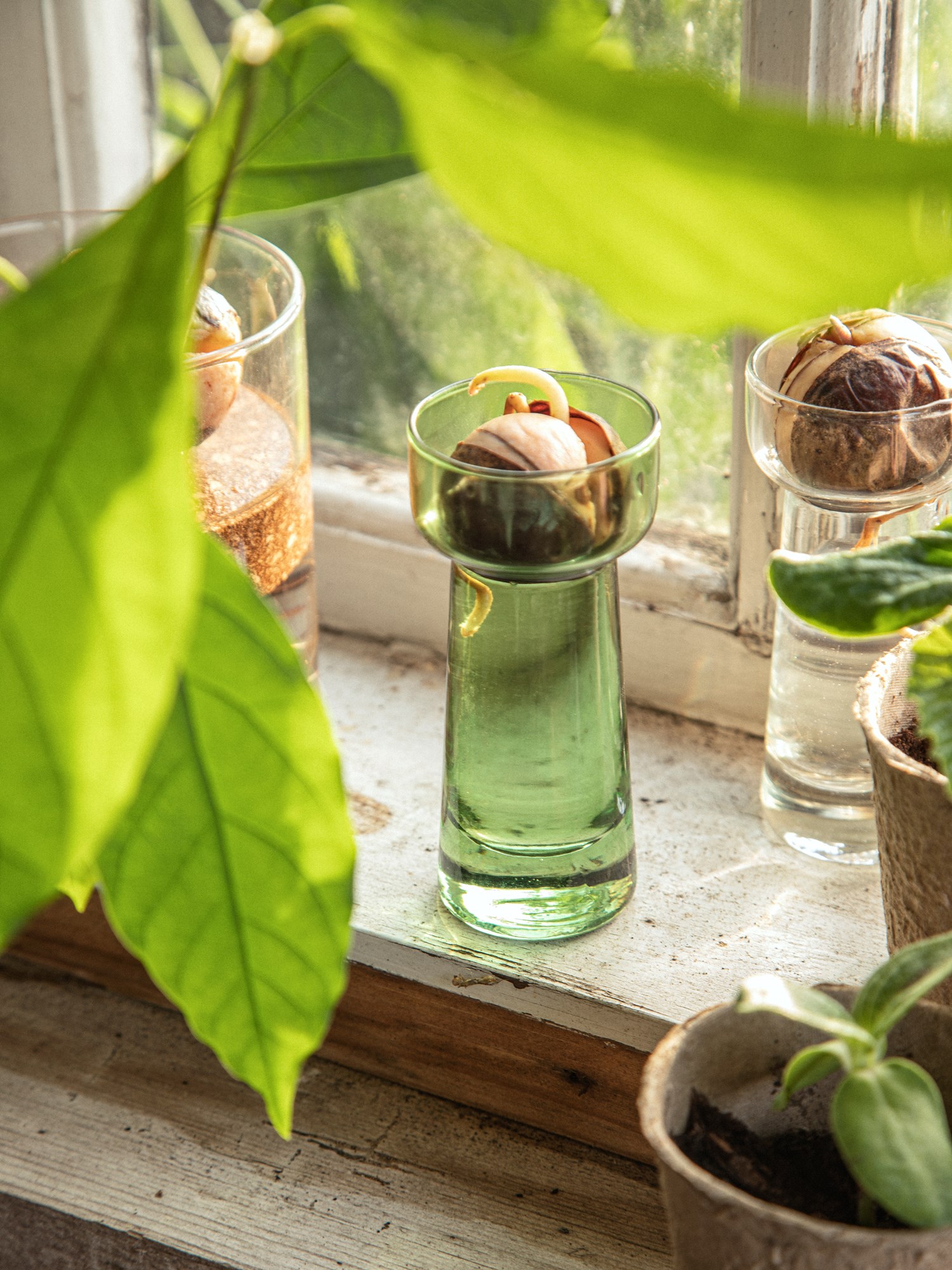 Vase Glass. Ø4.8 x 10 cm.