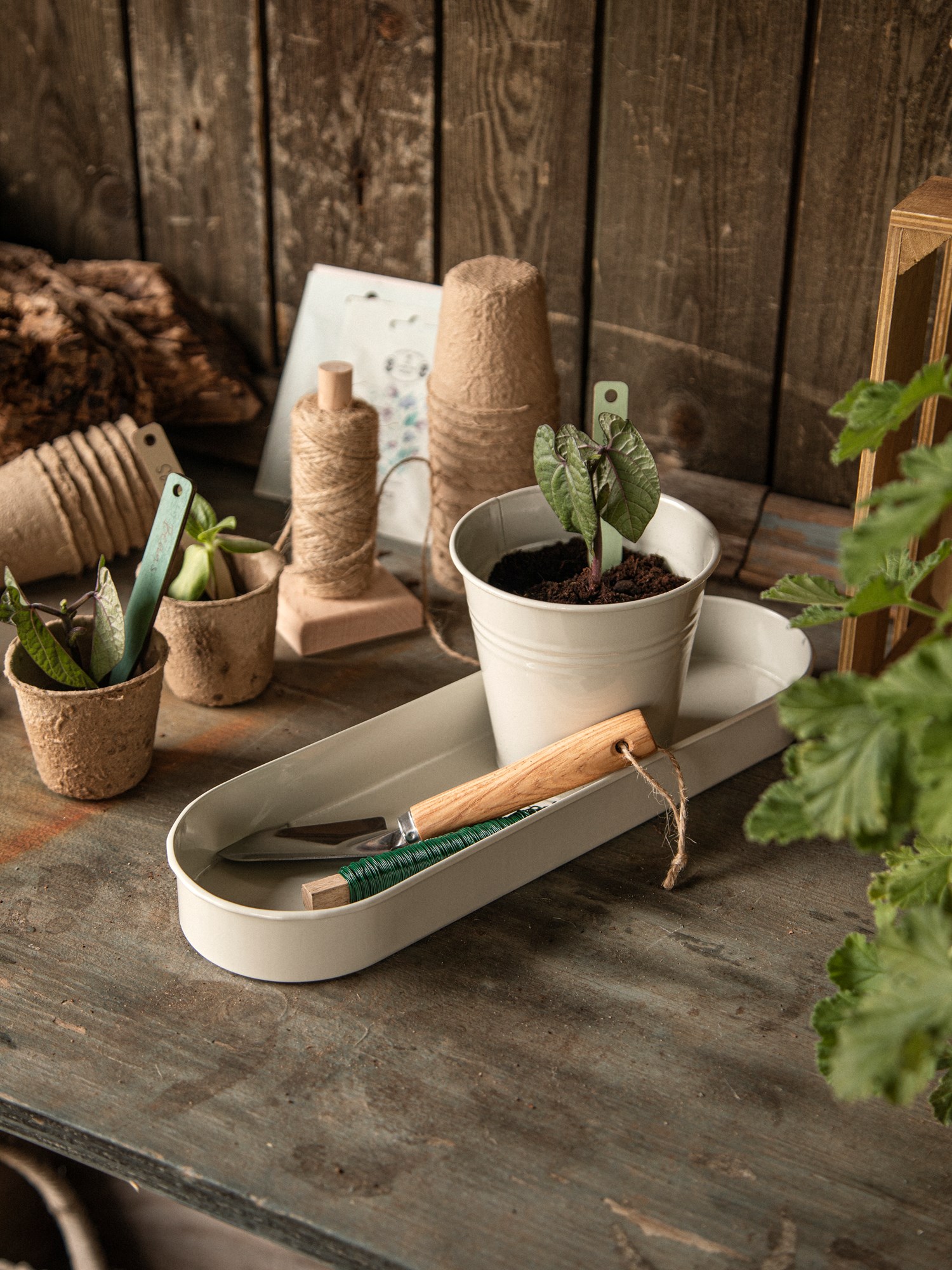 Flowerpots with tray Metal. 33 x 11 cm. Ø10.5 cm. 3 pots.