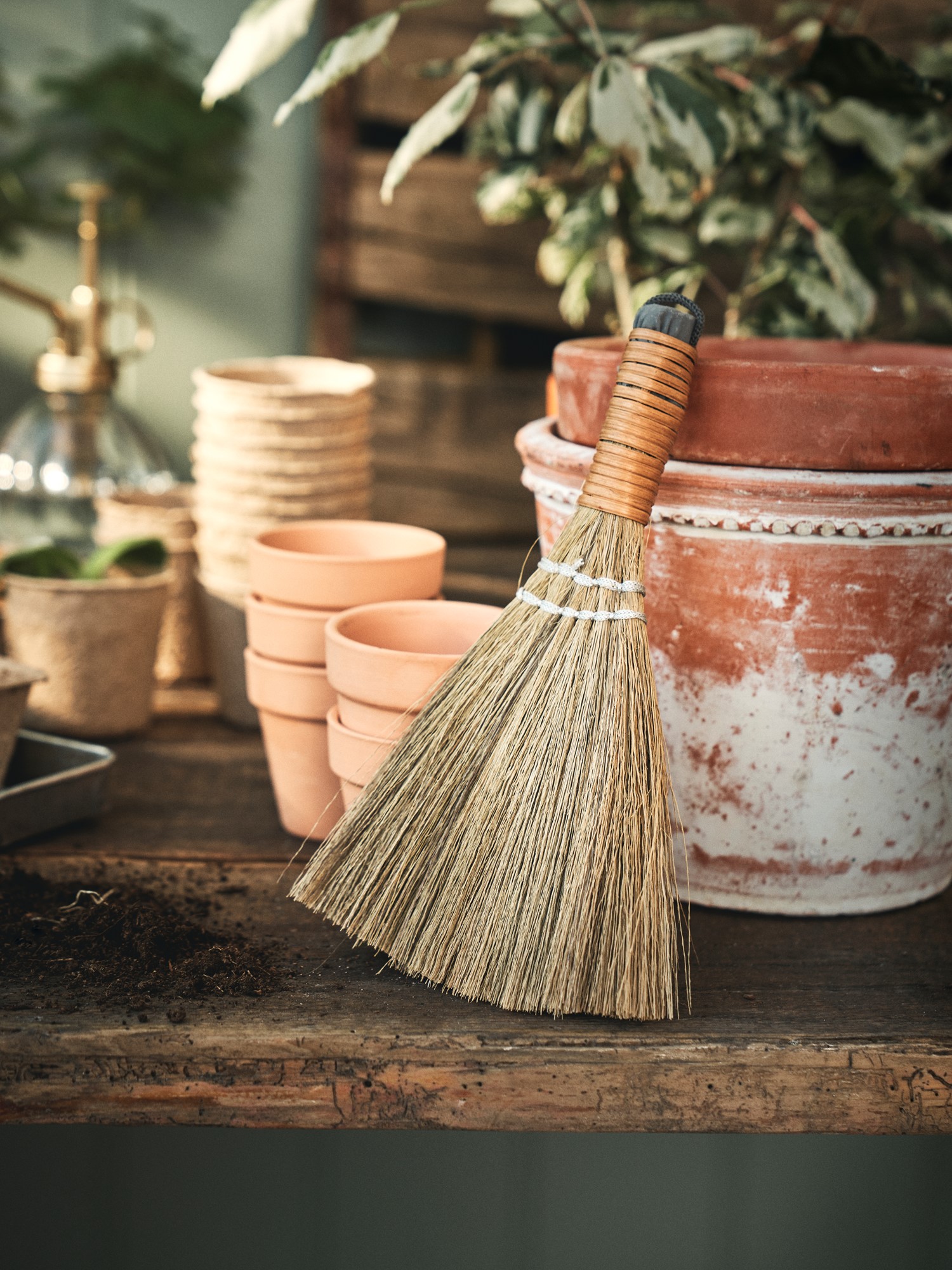 Small broom Seagrass. 20 x 16 cm.