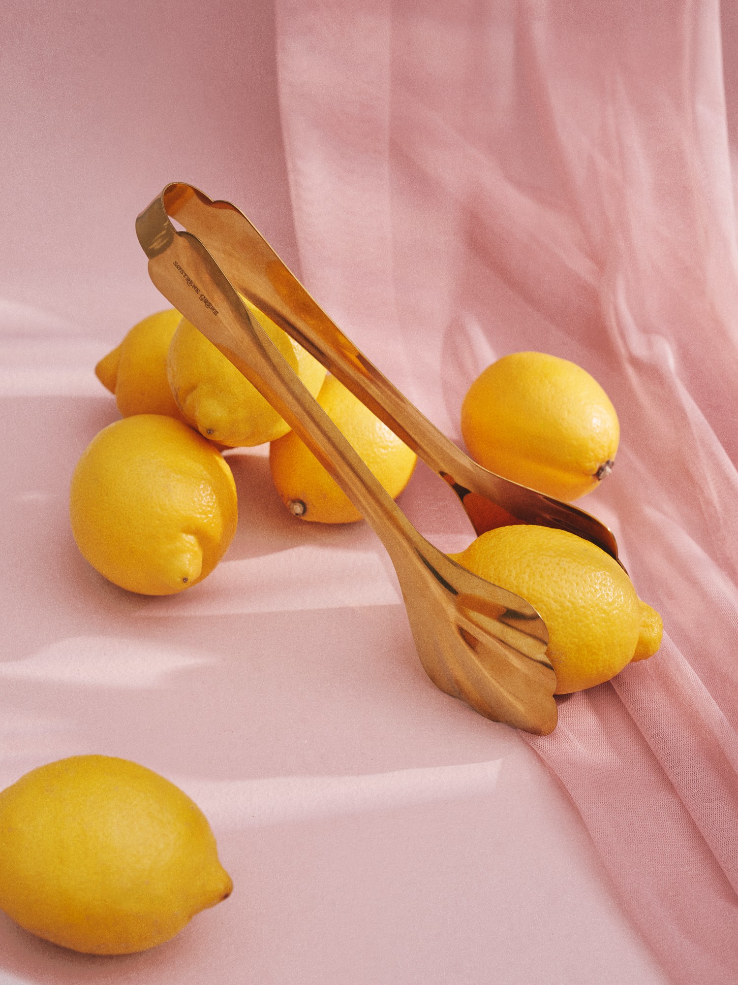 Tongs Stainless steel. 24.7 cm.