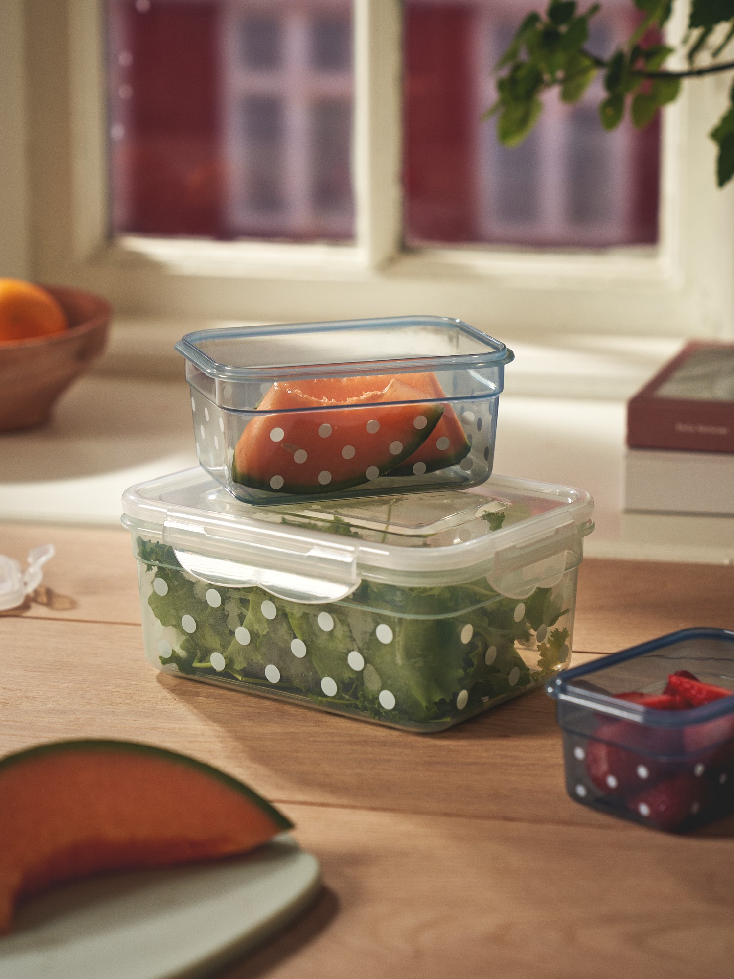 Food container Polypropylene/silicone. 17 x 12.5 x 7.5 cm.