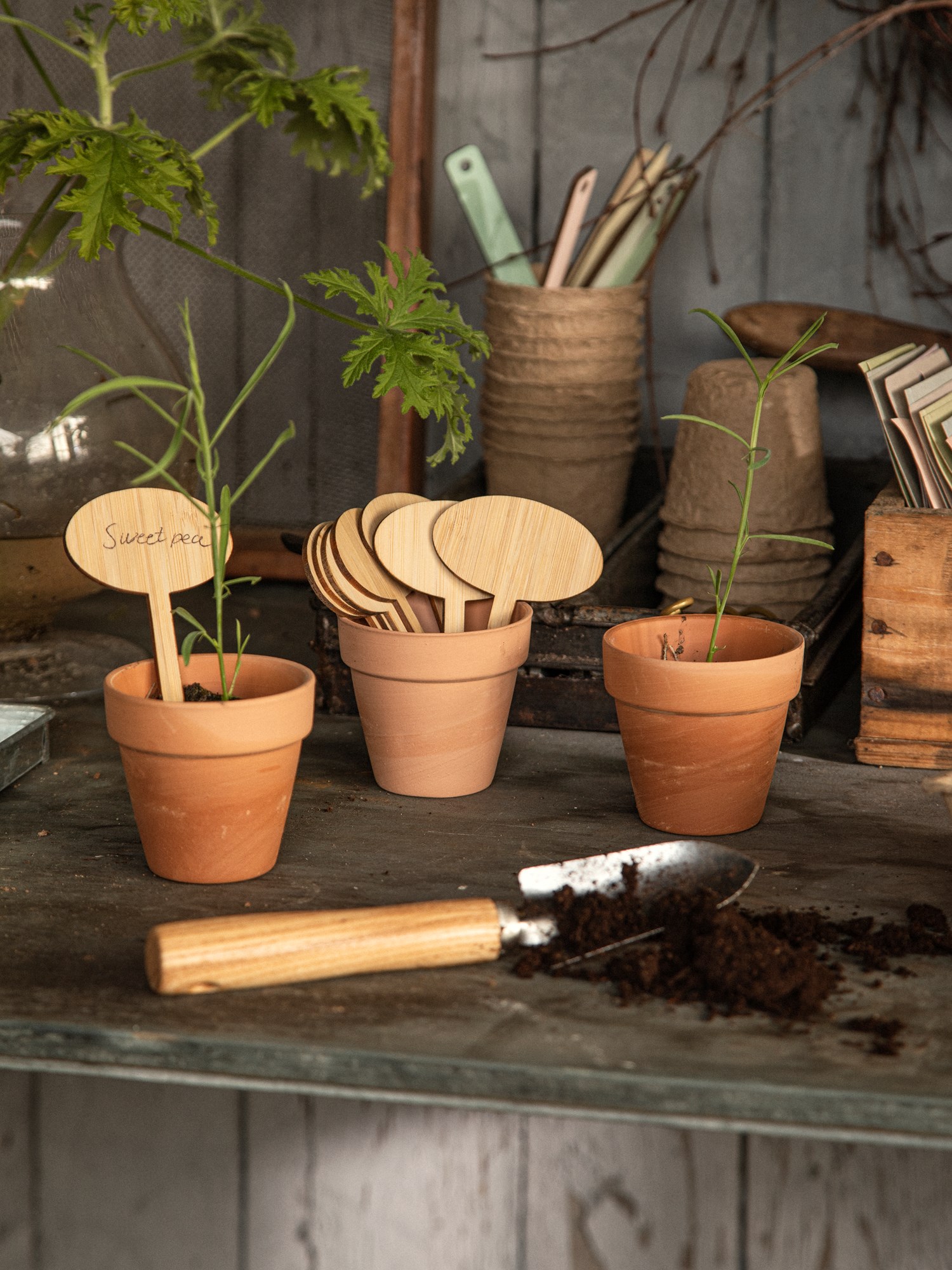 Mini garden shovel Stainless steel/bamboo. 18.5 cm.