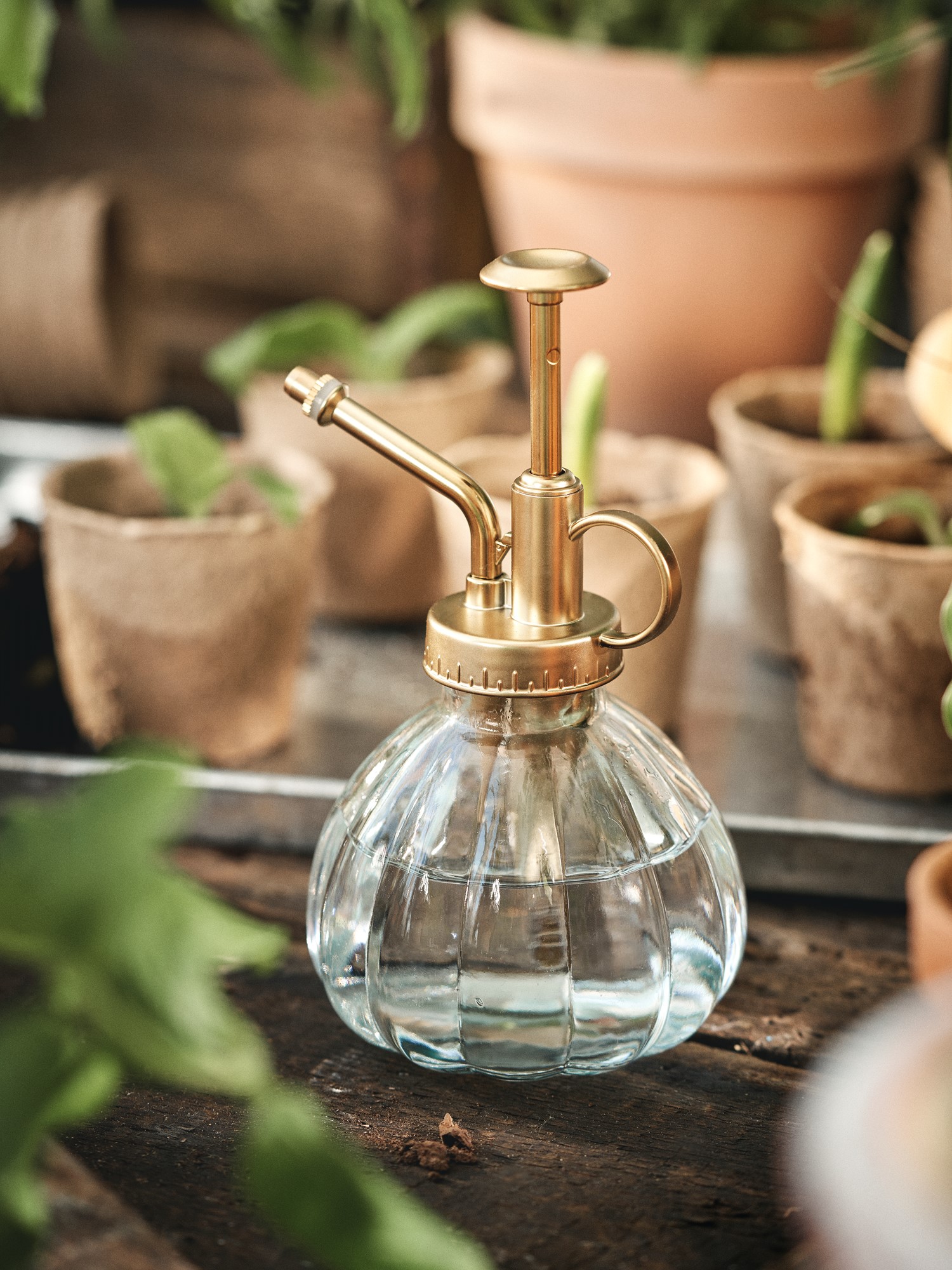 Mister Glass/plastic. Ø9.2 x 15.5 cm.