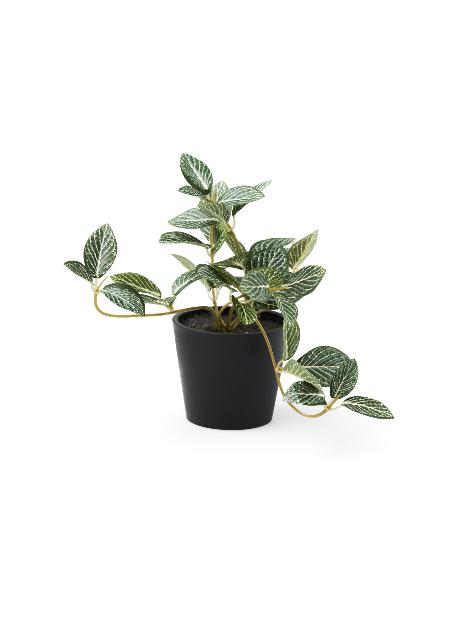 Artificial fittonia in pot Ø7 x 6 cm.