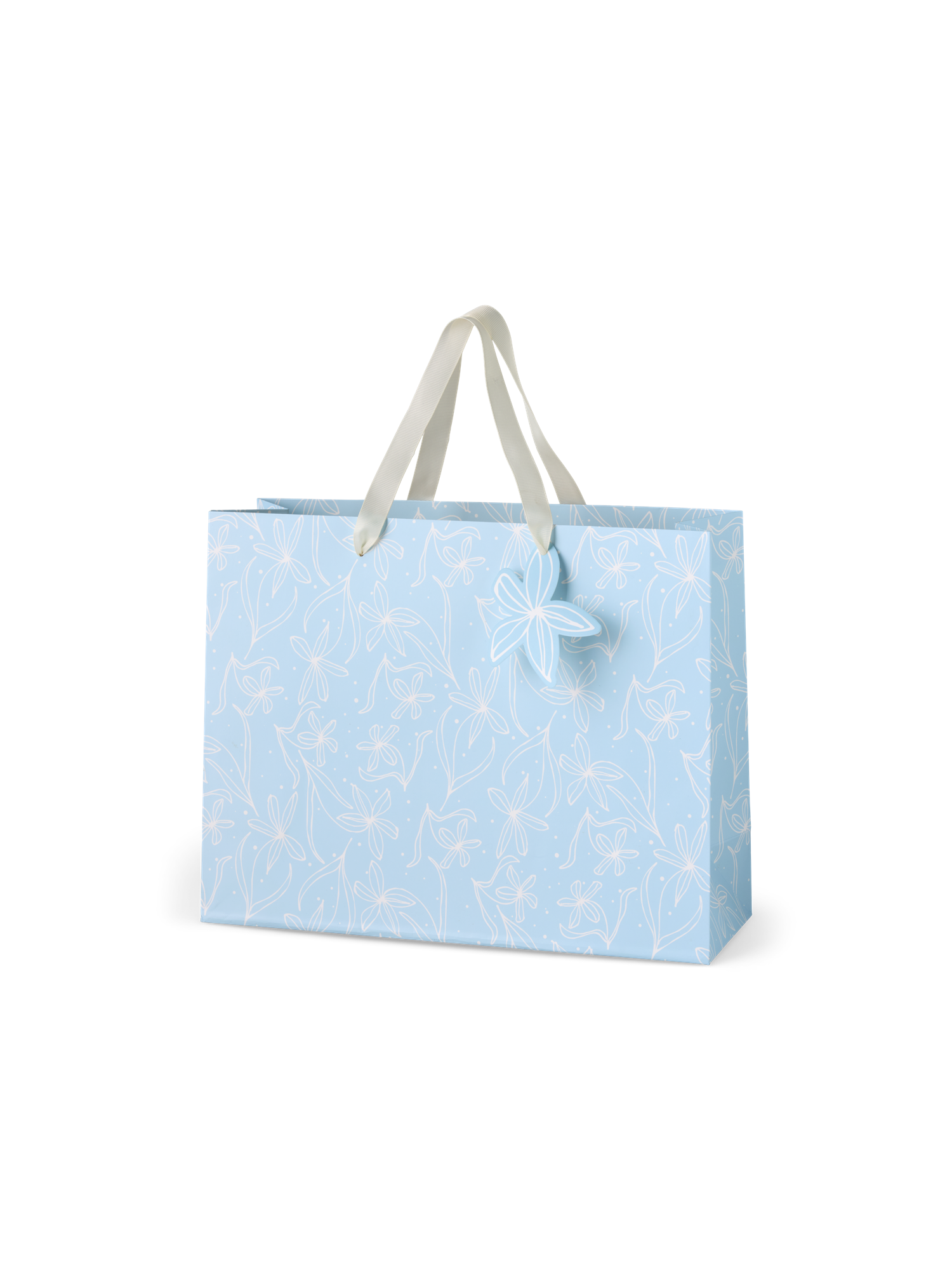 Gift bag Paper. 21 x 18 x 8 cm.