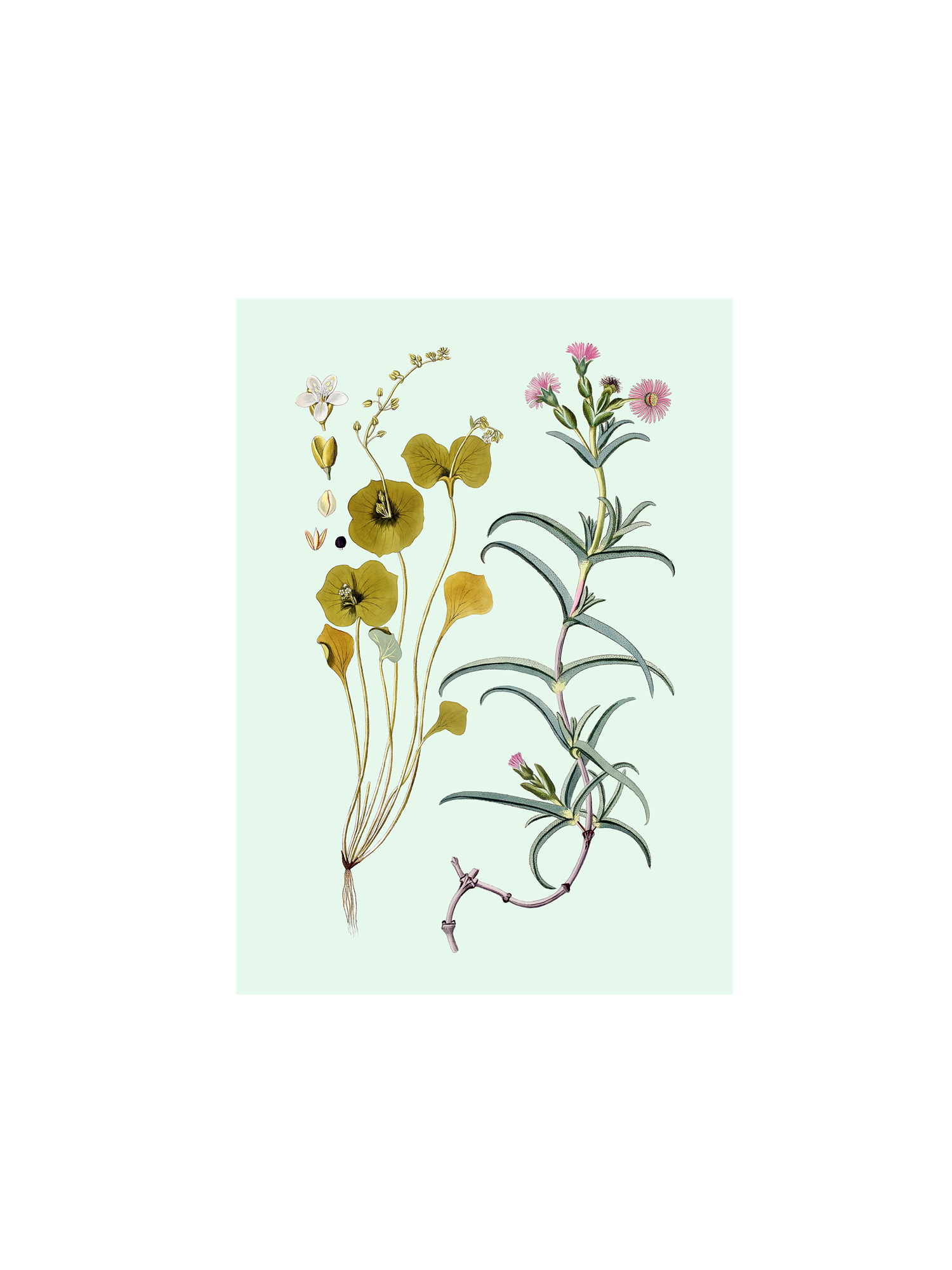 Poster A3 Paper. 29.7 x 42 cm.