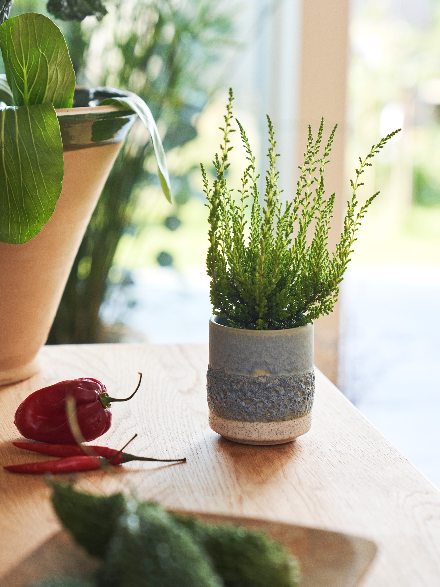 Flowerpot Stoneware. Ø7 x 8 cm.