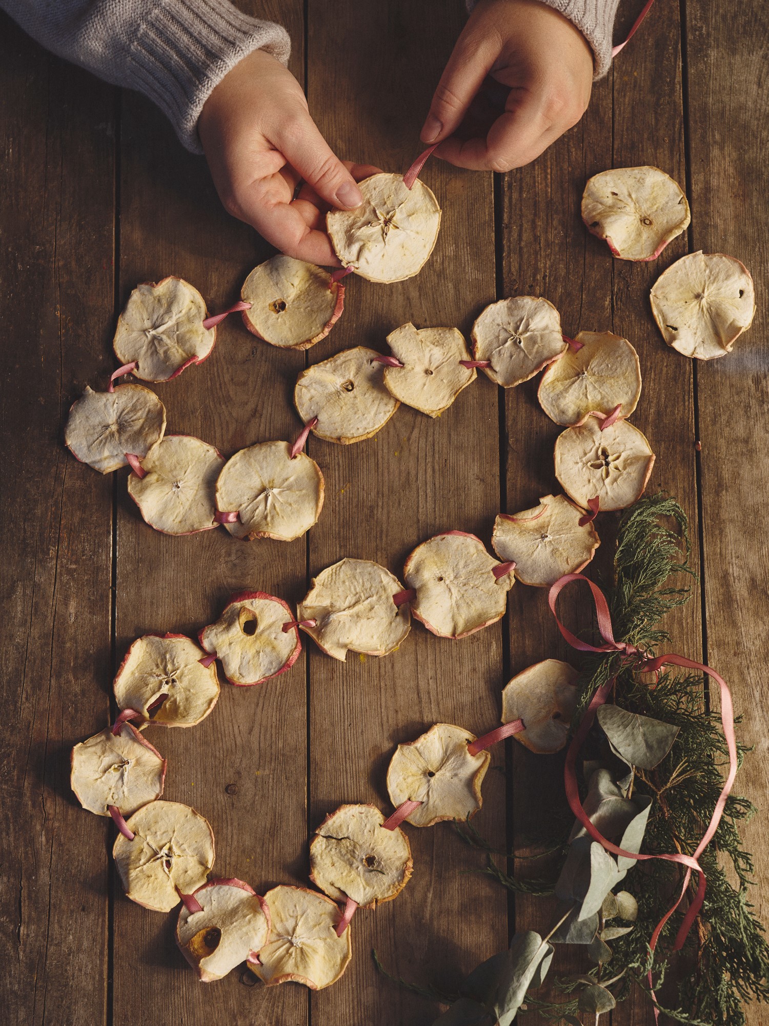 Dried apple slices 40 g.