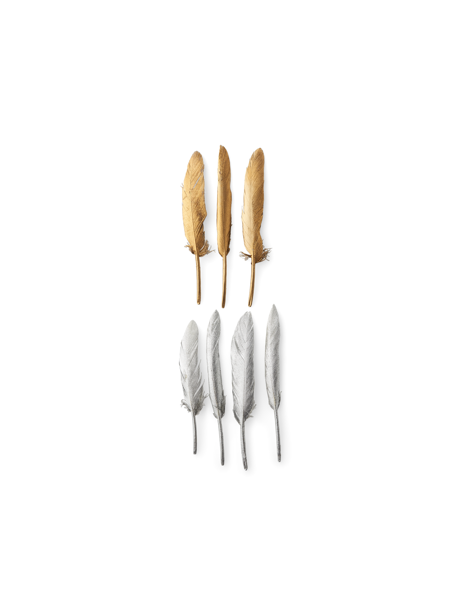 Feathers Goose feathers. 6 pcs.