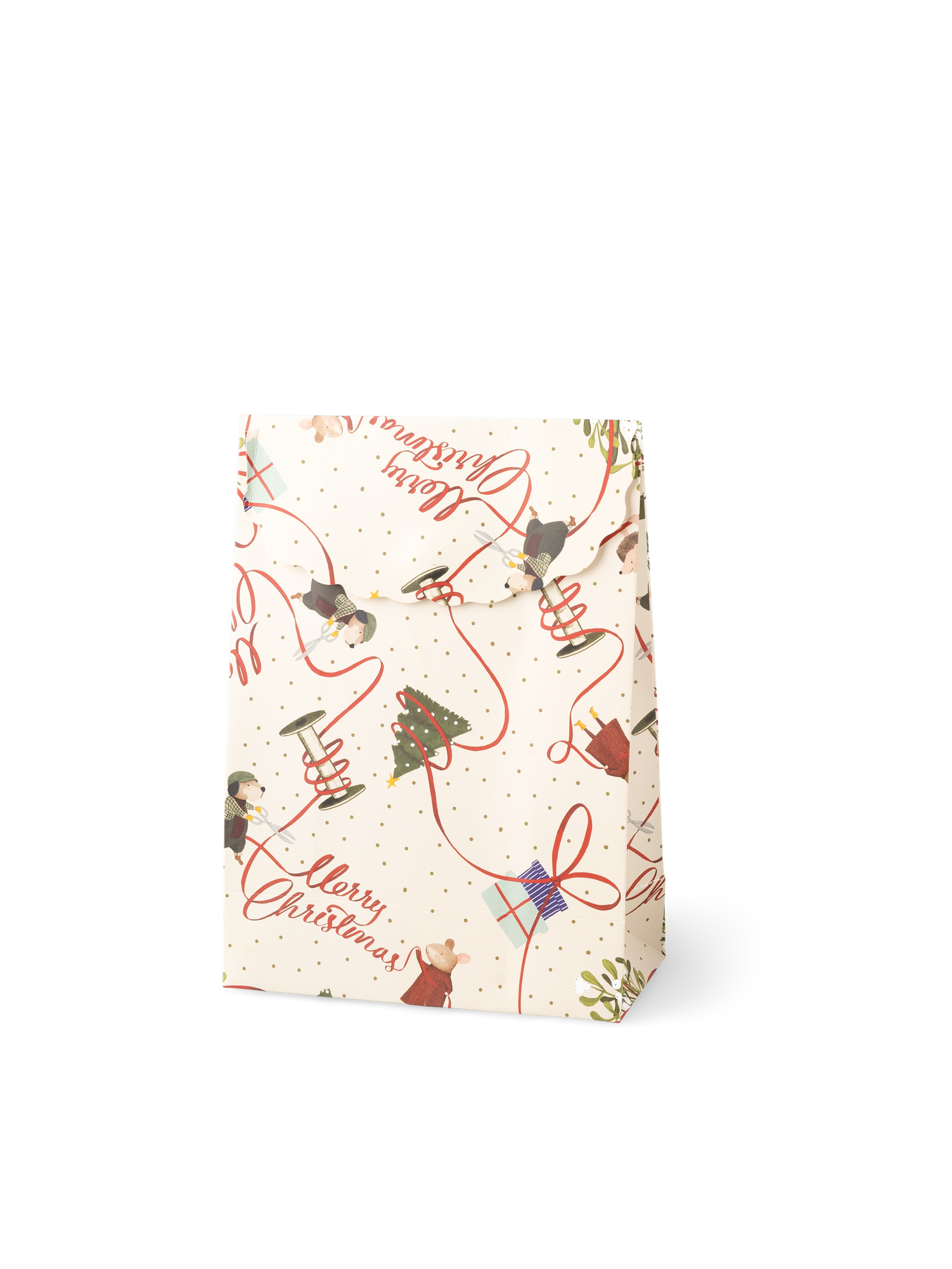 Envelope gift bag Paper. 26.5 x 19 x 9 cm.