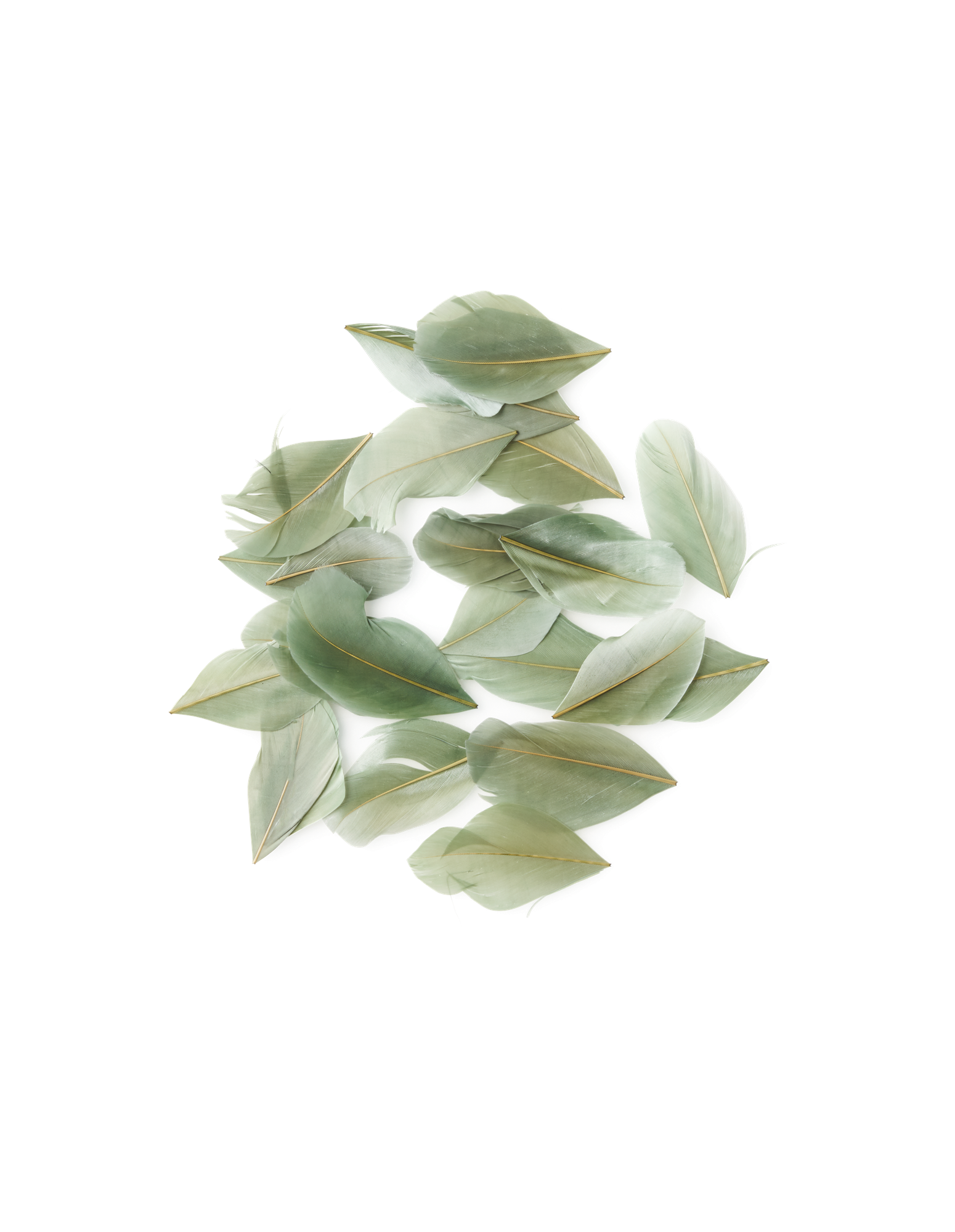 Feathers Goose. 5 g.