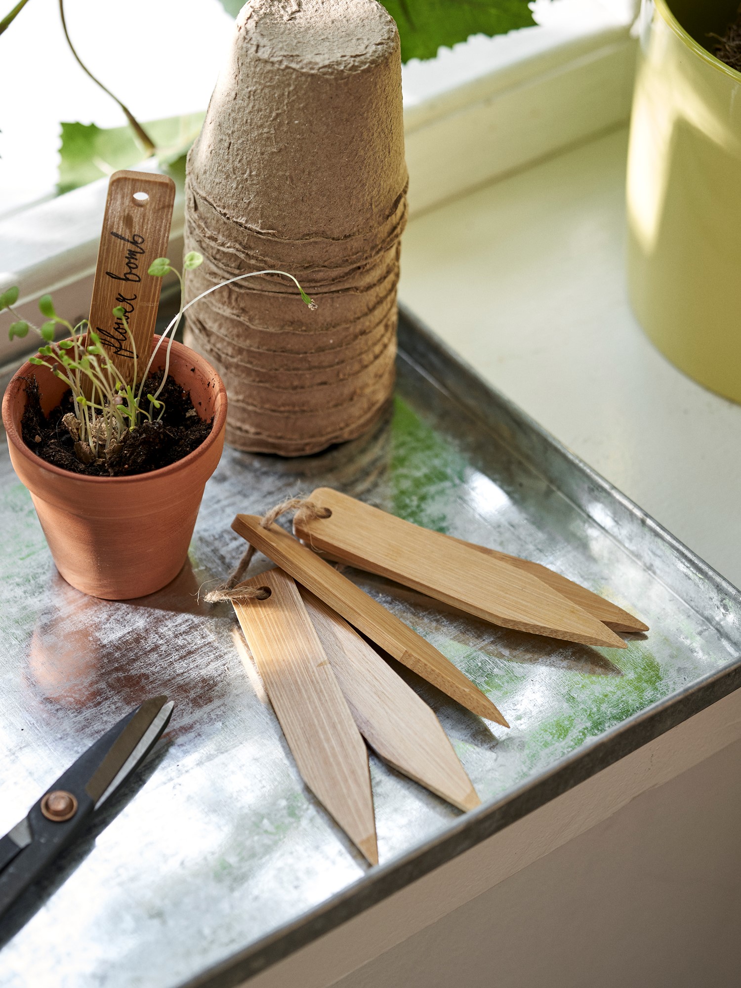 Plant markers Bamboo. 11 x 1.5 cm. 6 pcs.