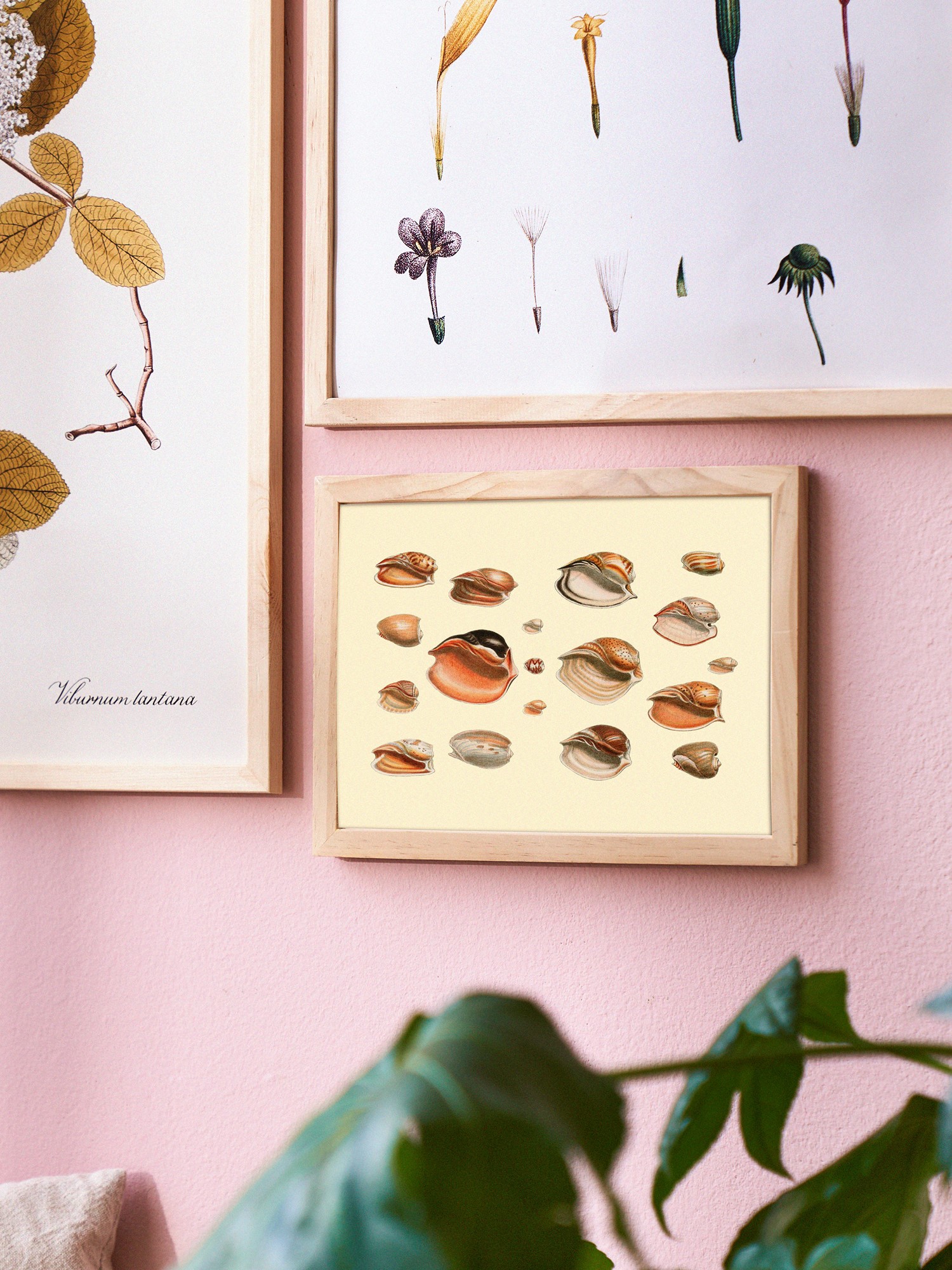 Poster 15 x 21 Paper. 15 x 21 cm.