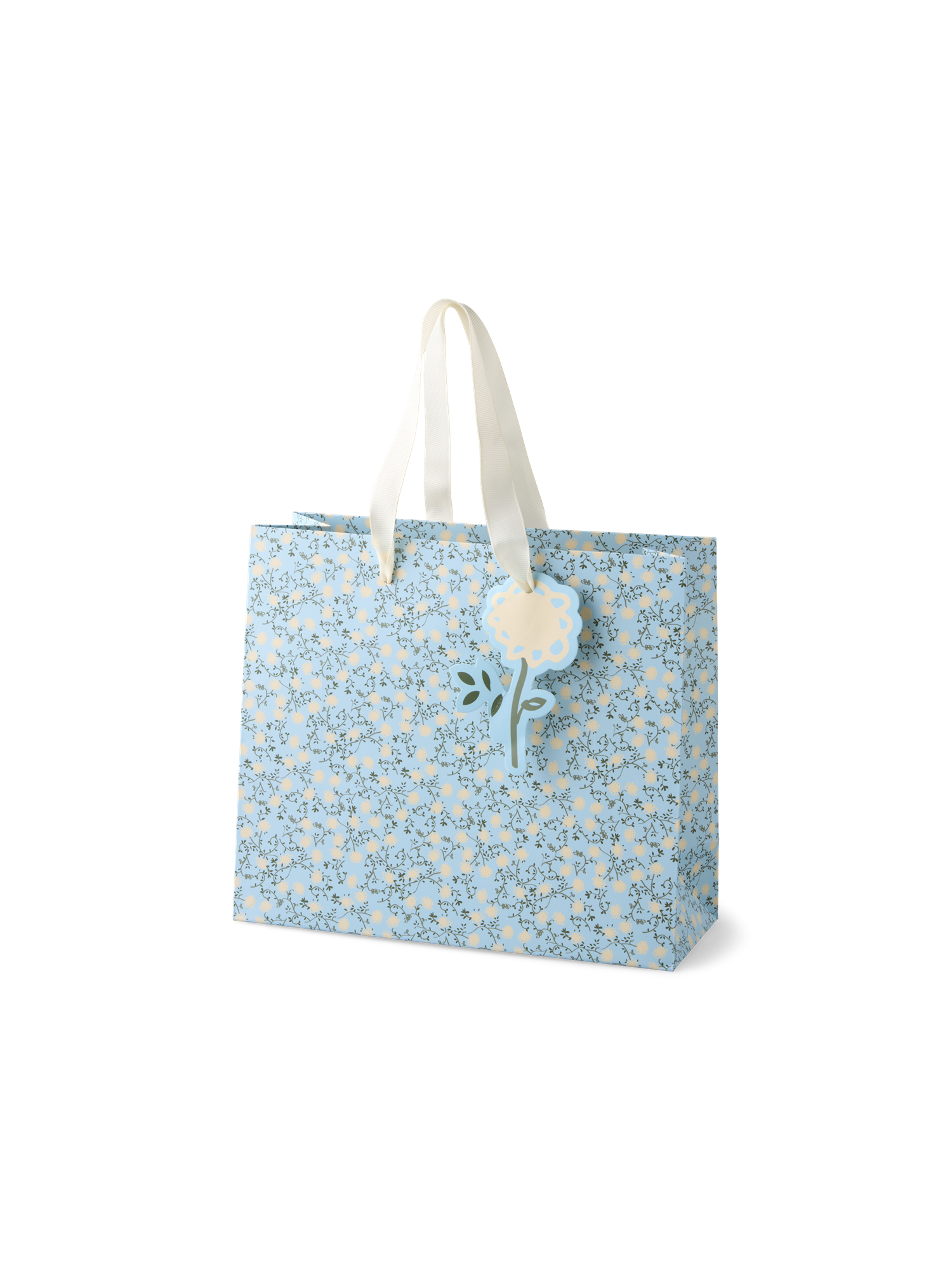 Gift bag Paper. 21 x 18 x 8 cm.