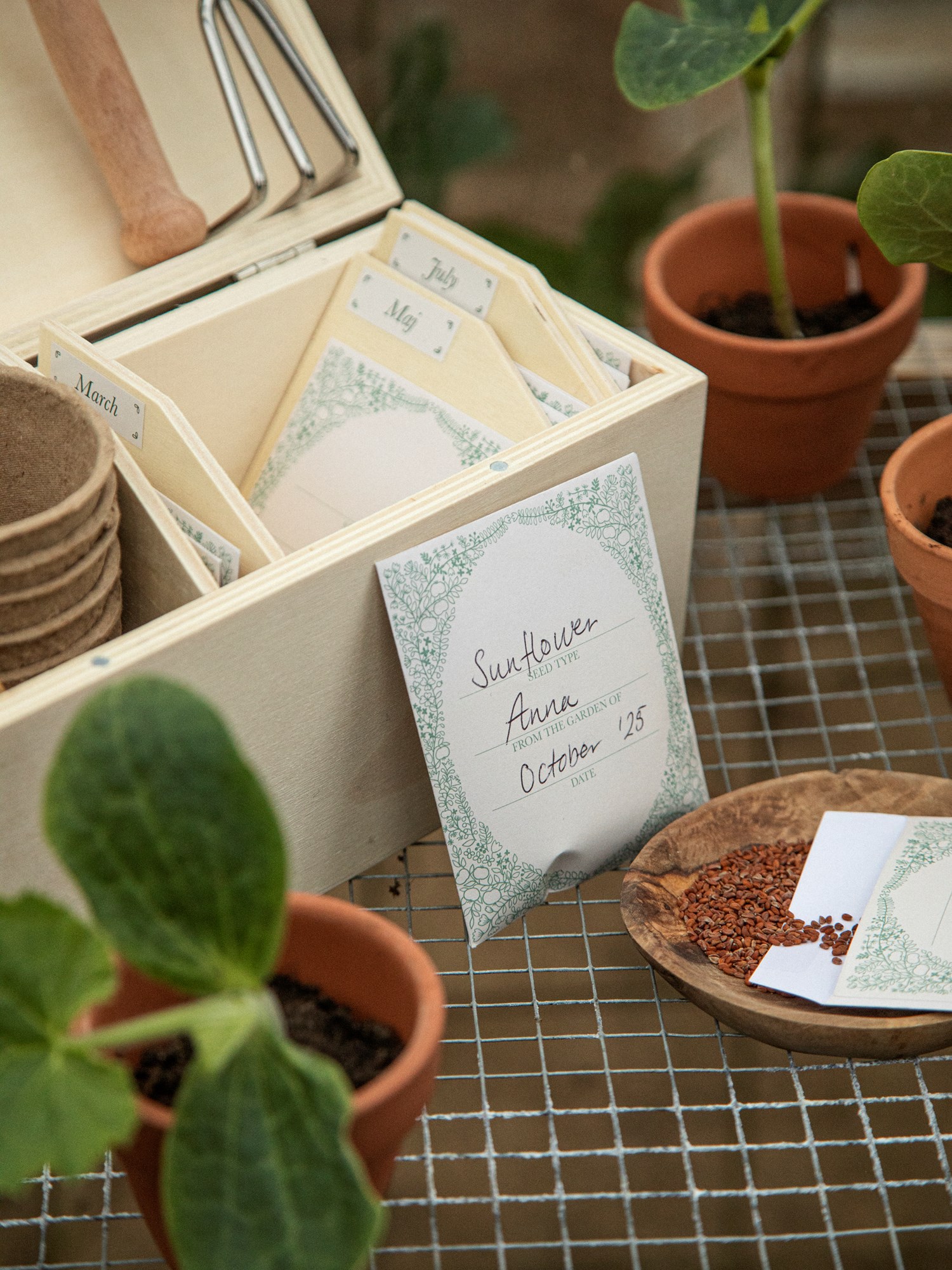 Seed bags Paper. 9 x 7.5 cm. 10 pcs.