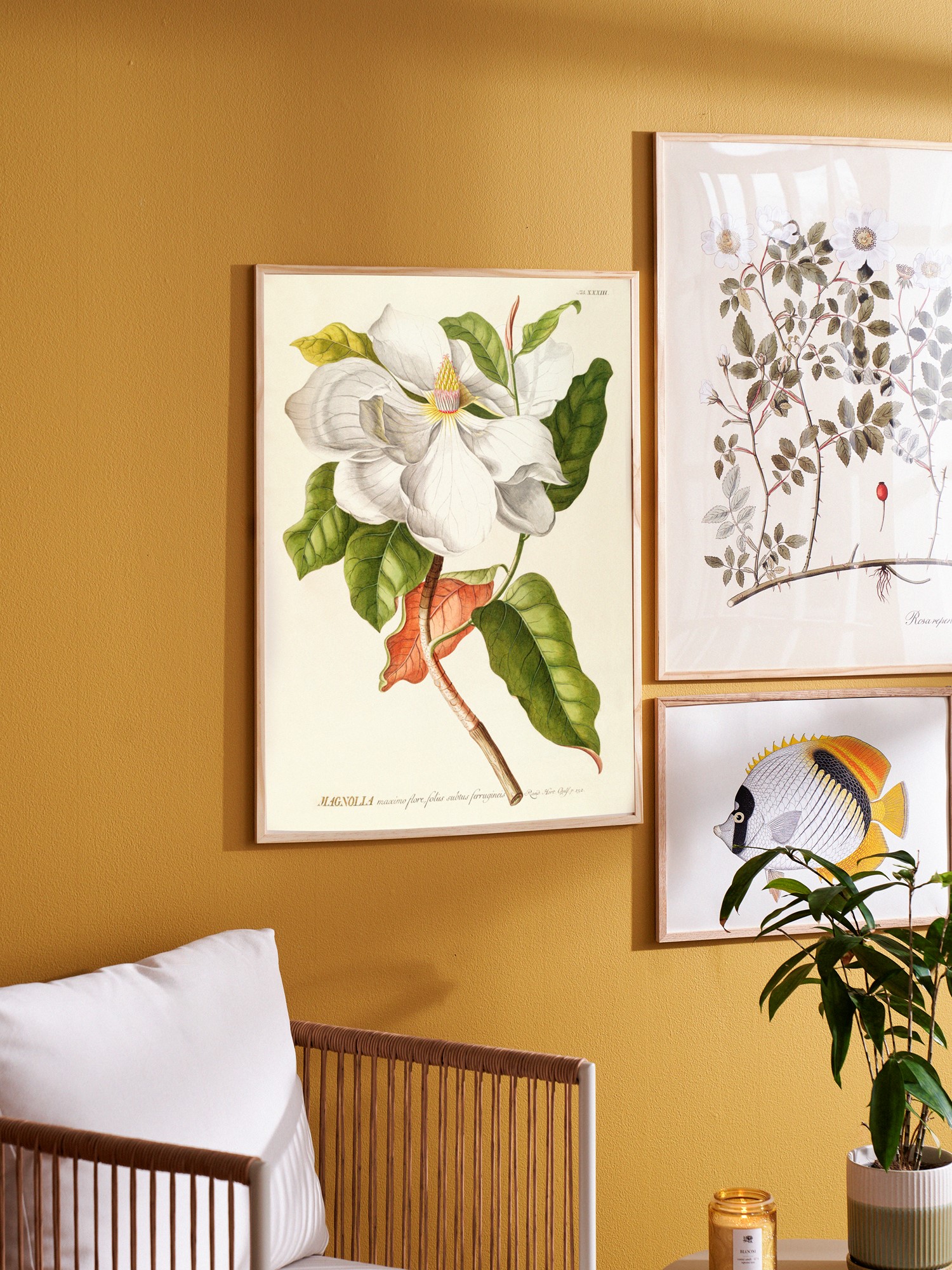 Poster 50 x 70 Paper.