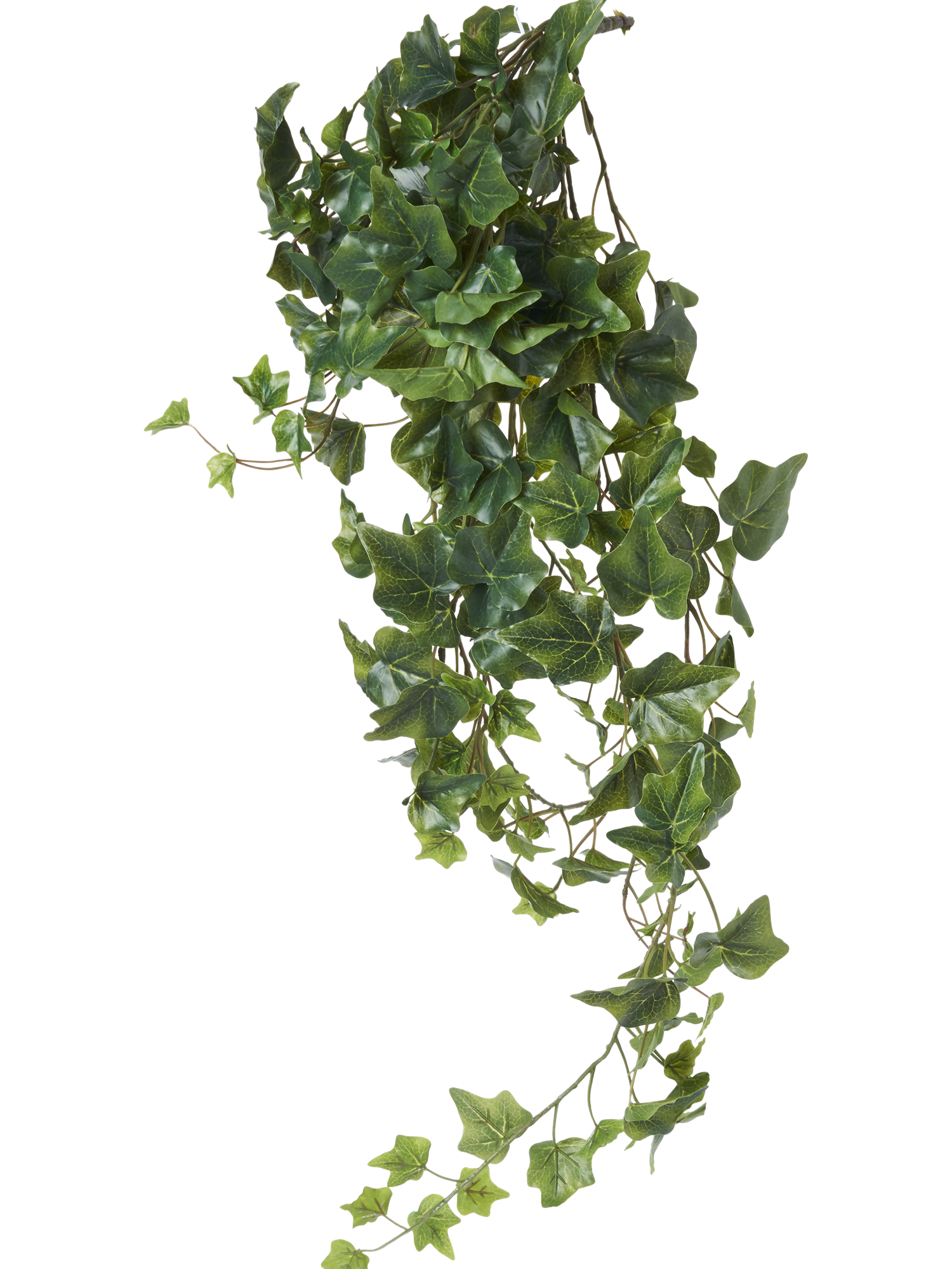 Artificial ivy Plastic. 80 cm.