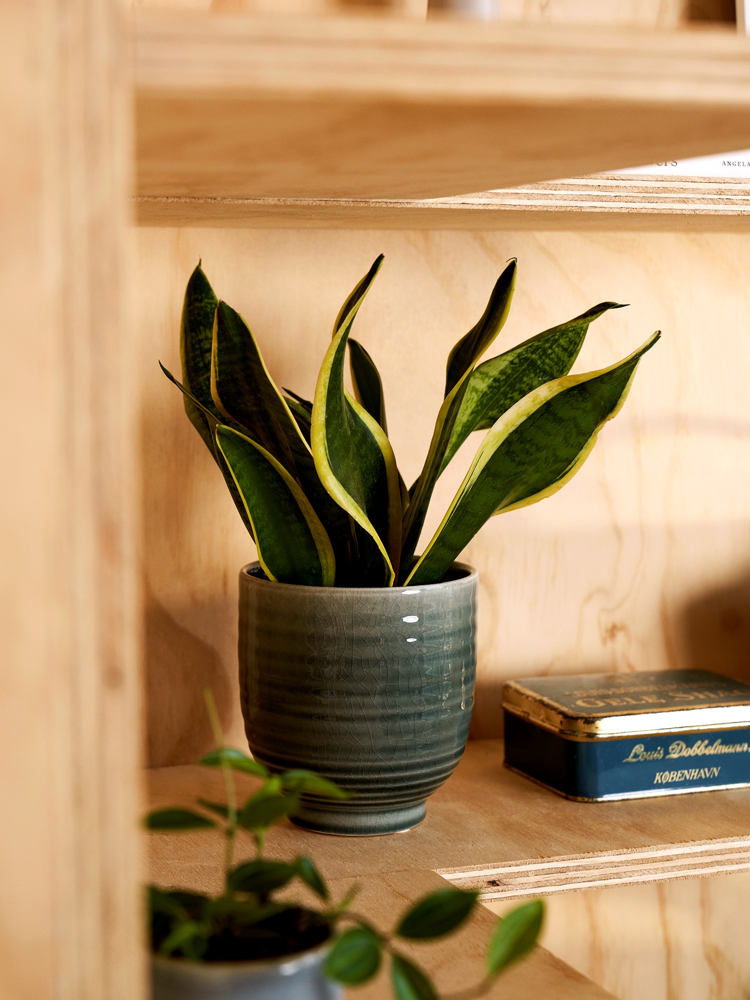 Flowerpot Ceramic. Ø14.5 x 15 cm.