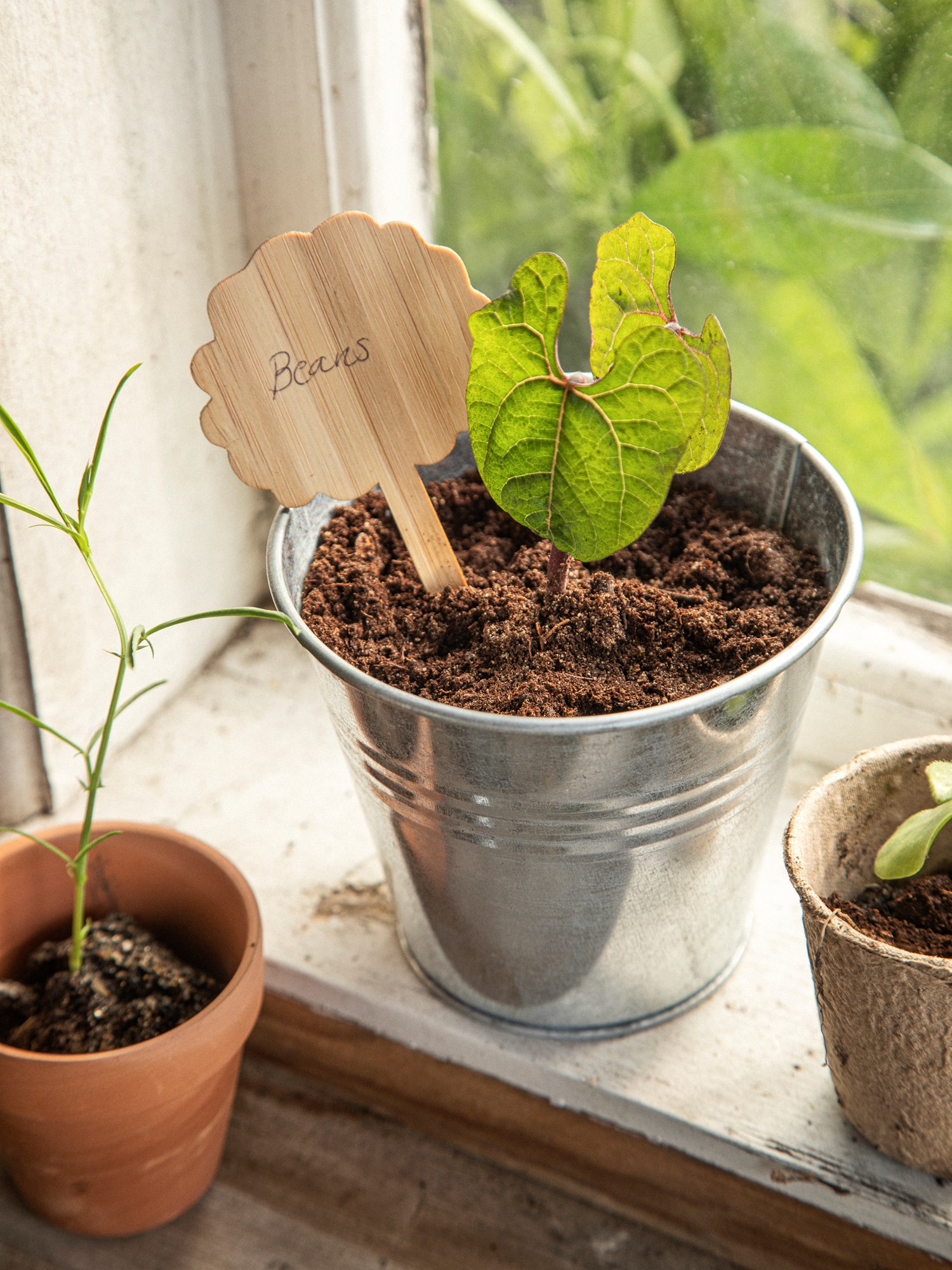 Plant markers Bamboo. 6 x 10 cm. 10 pcs.