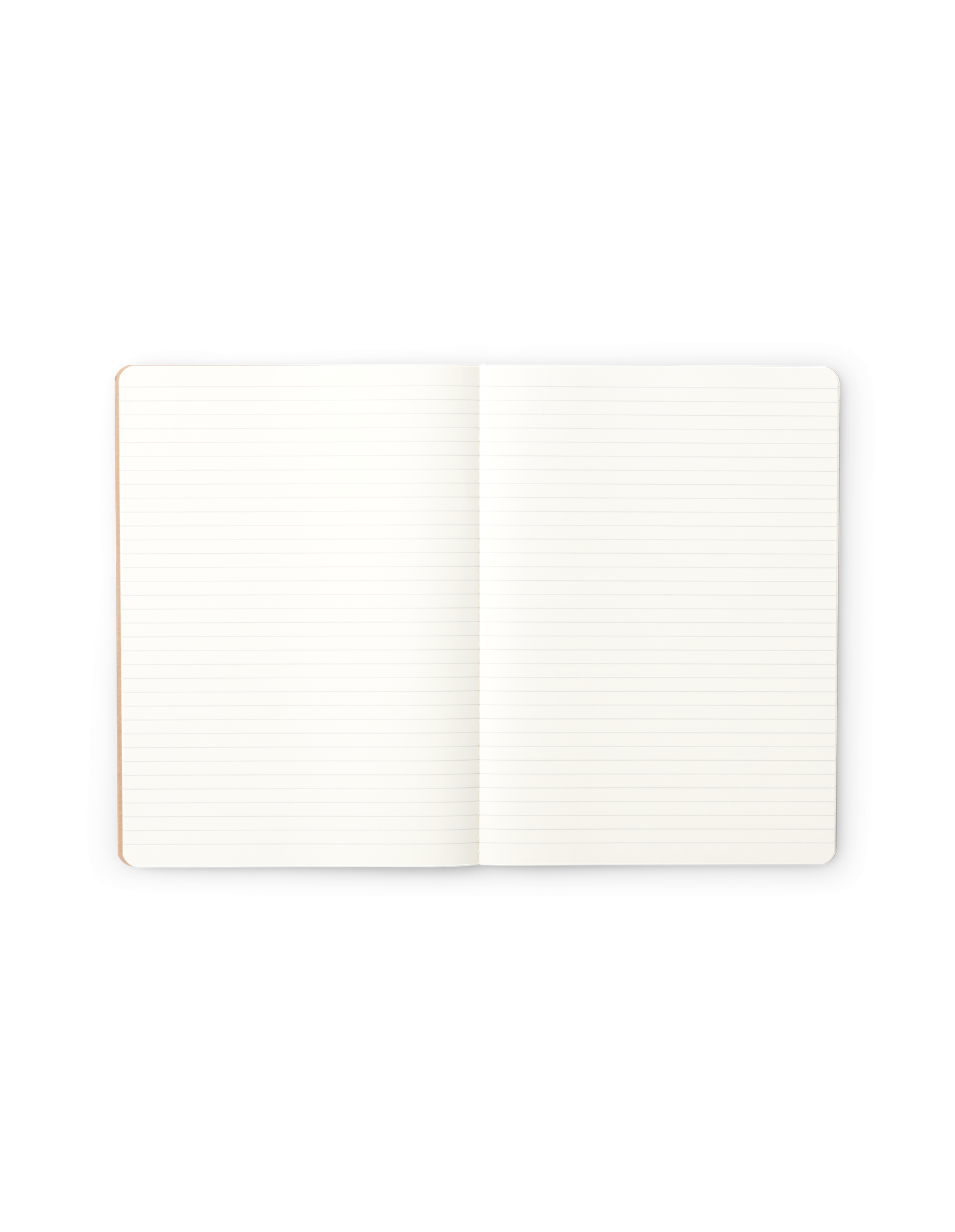 Notebook A4 Paper. 29.5 x 21 cm. Softcover.