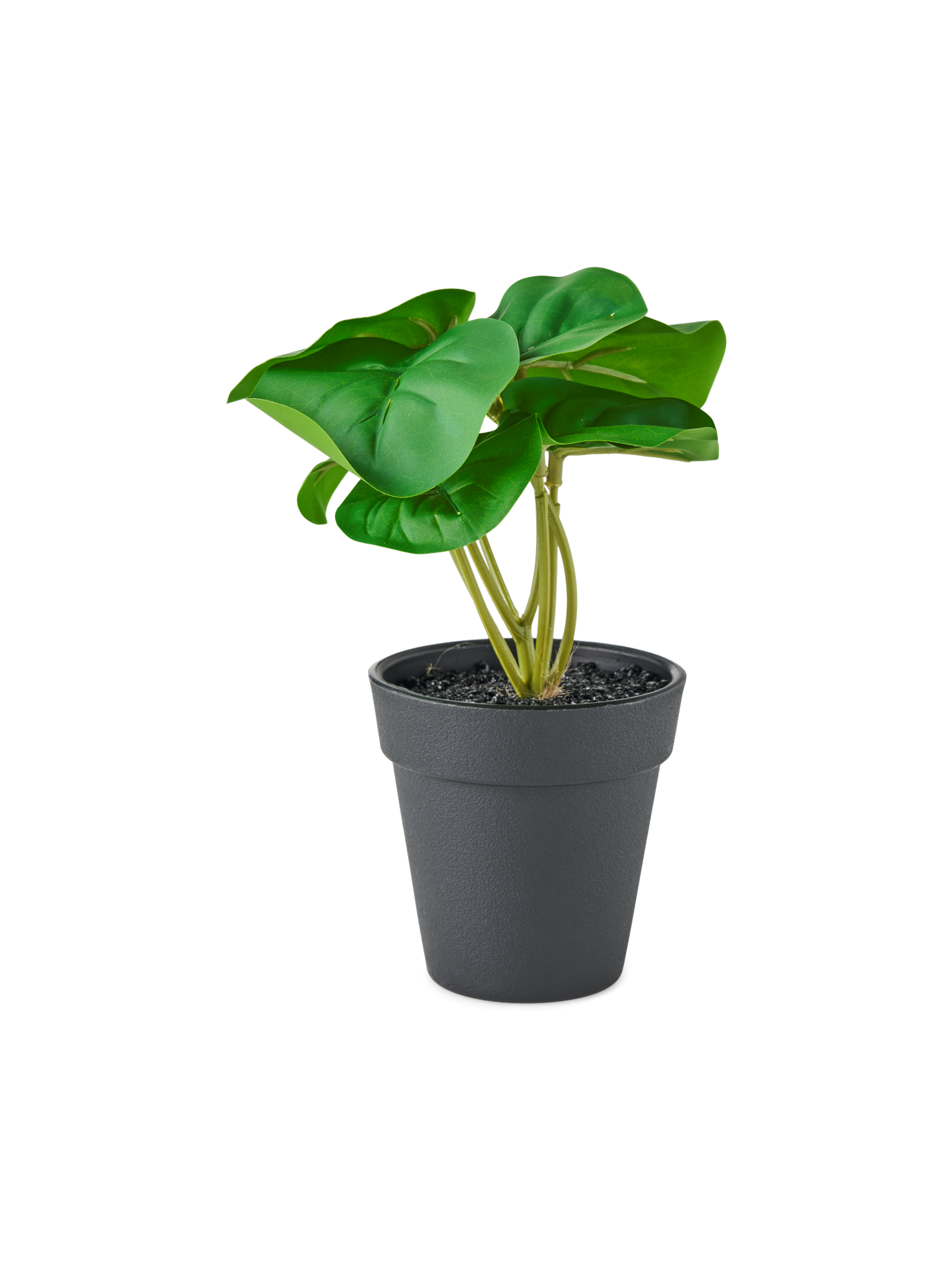 Artificial plant in pot Ø8 x 18 cm.