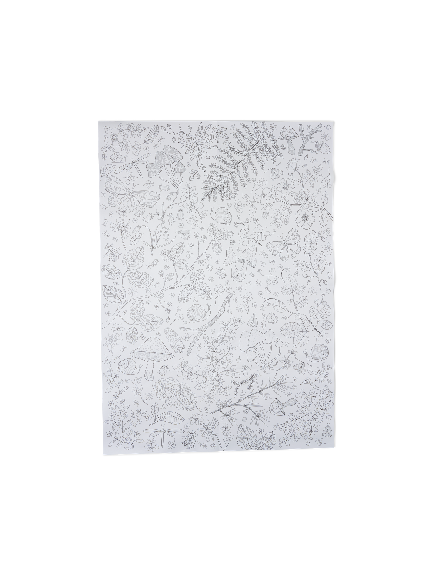 Colouring poster Paper. 21.5 x 30/59 x 84 cm.