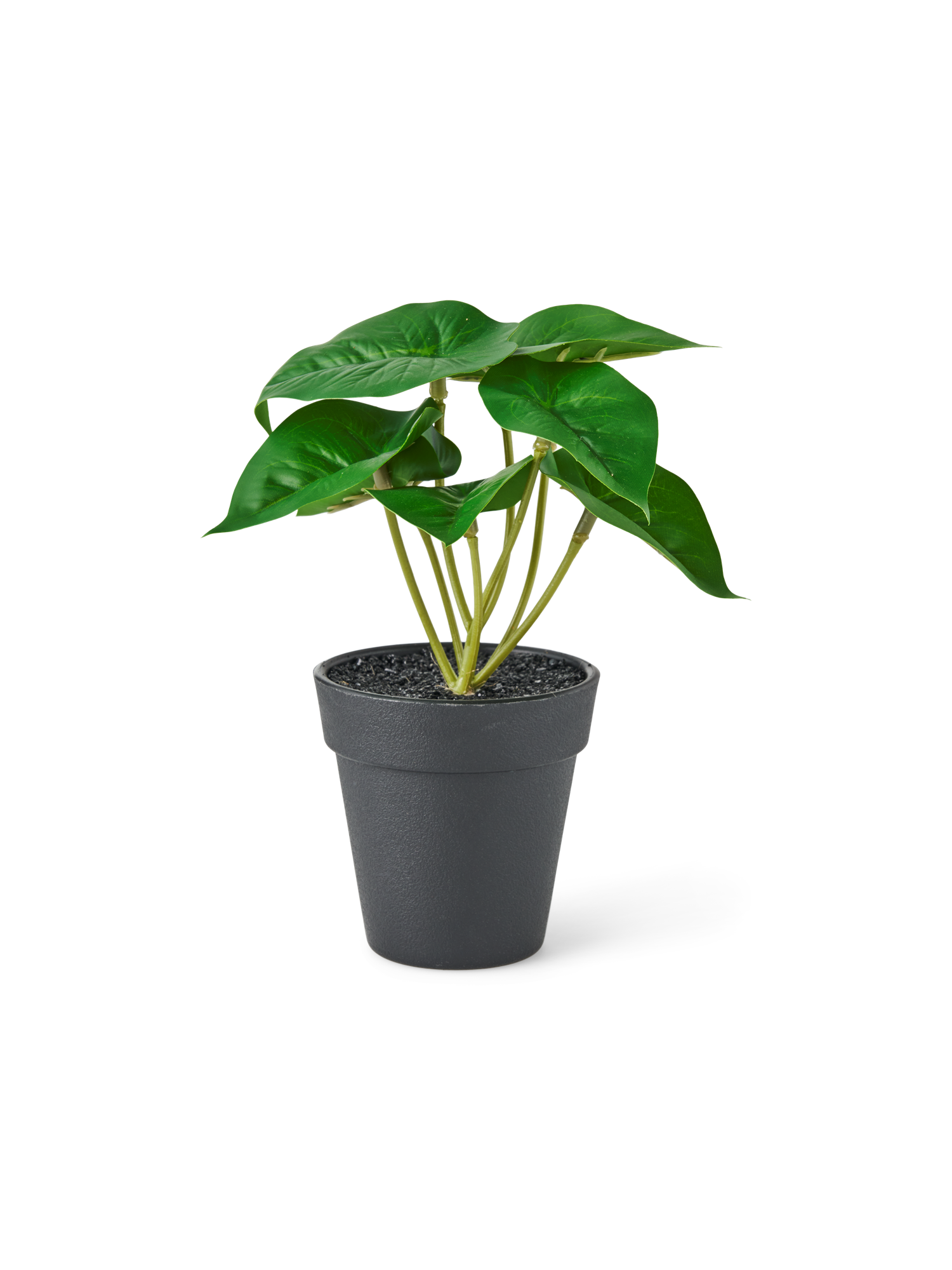 Artificial plant in pot Ø8 x 18 cm.