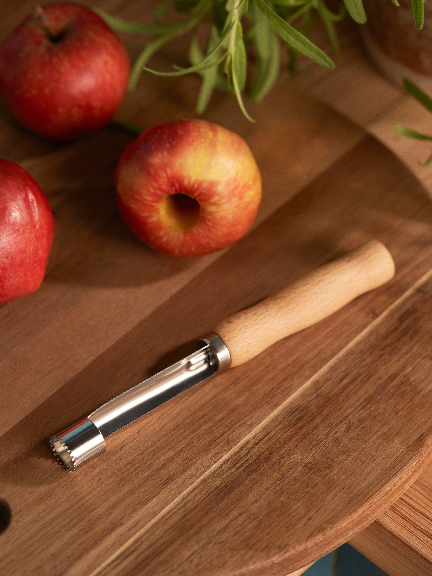 Fruit corer Rubbertree wood/stainless steel. 1.5 x 16.5 cm.