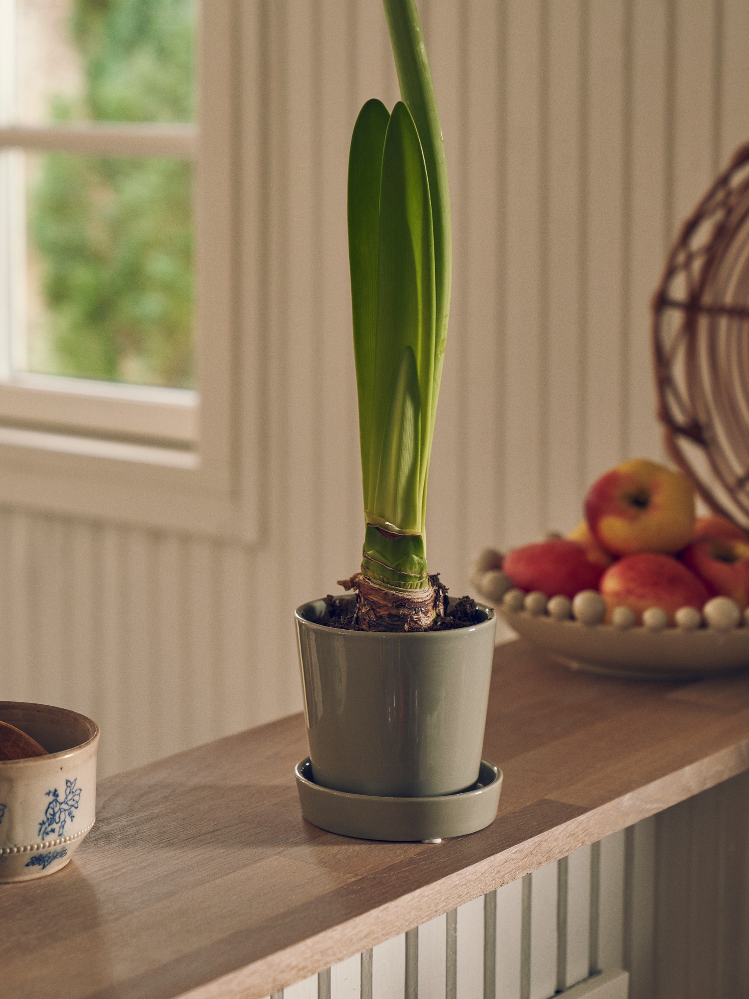 Flowerpot with saucer Dolomite. Ø10 x 10.3 cm.