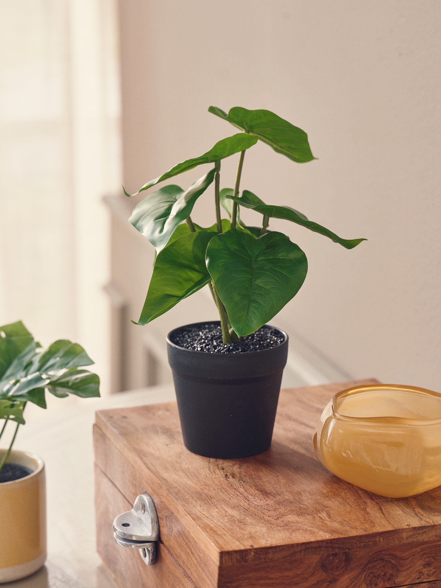 Artificial plant in pot philodendron Ø9 x 22 cm.