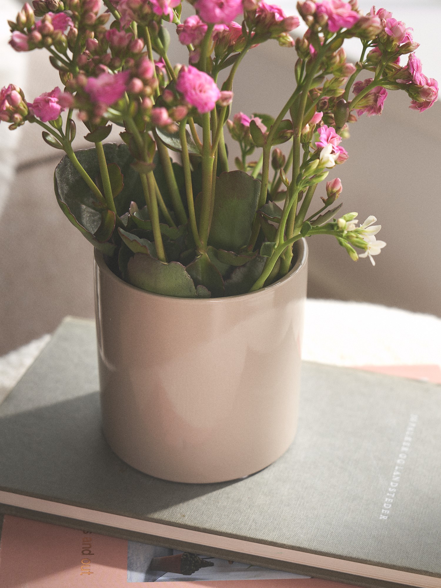 Flowerpot Porcelain. Ø10.5 x 11 cm.