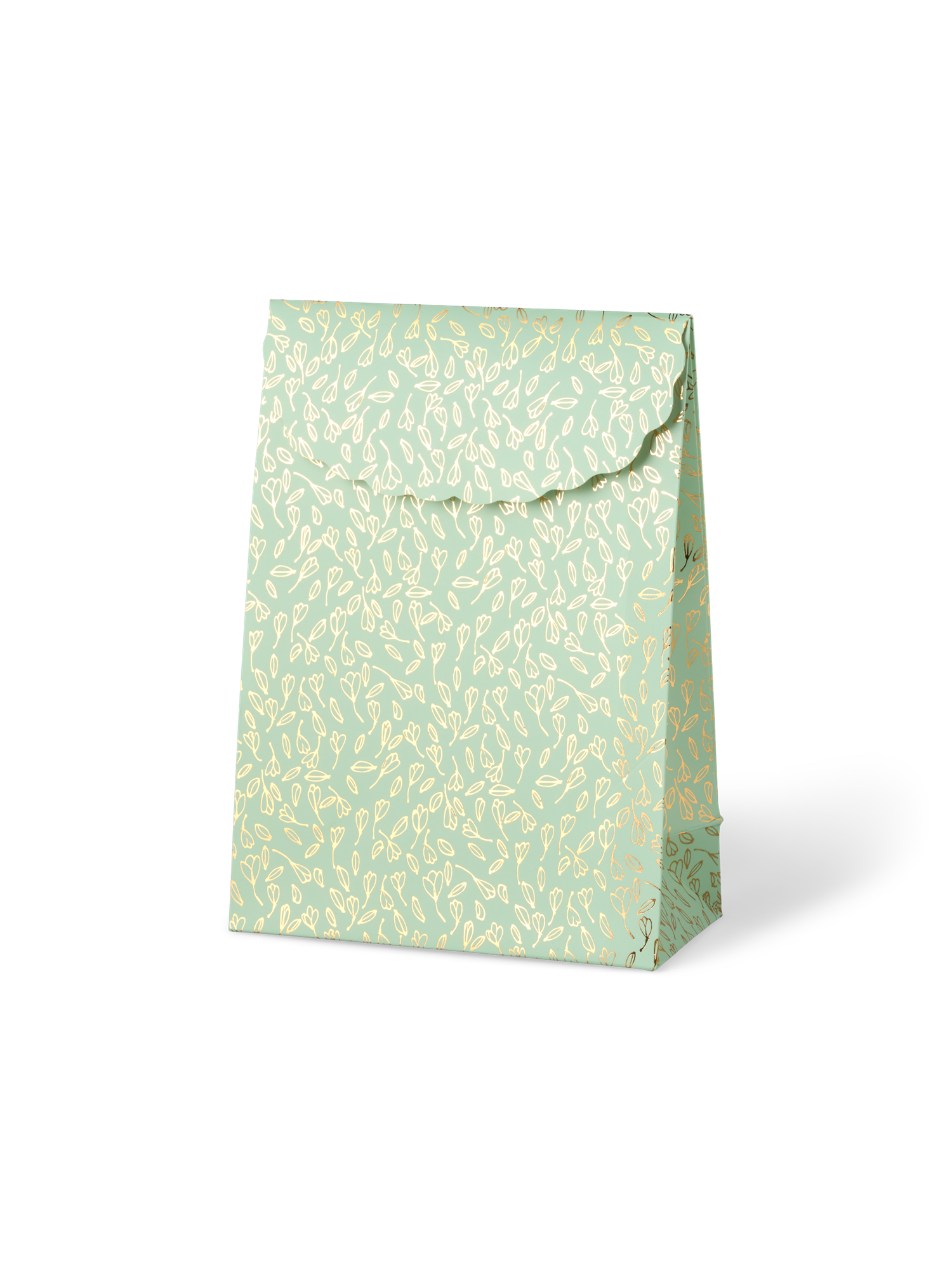 Envelope gift bag Paper. 26.5 x 19 x 9 cm.