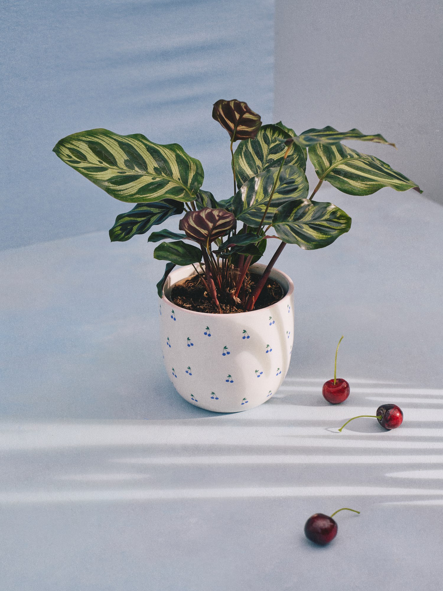 Flowerpot Dolomite. Ø12.1 x 11 cm.