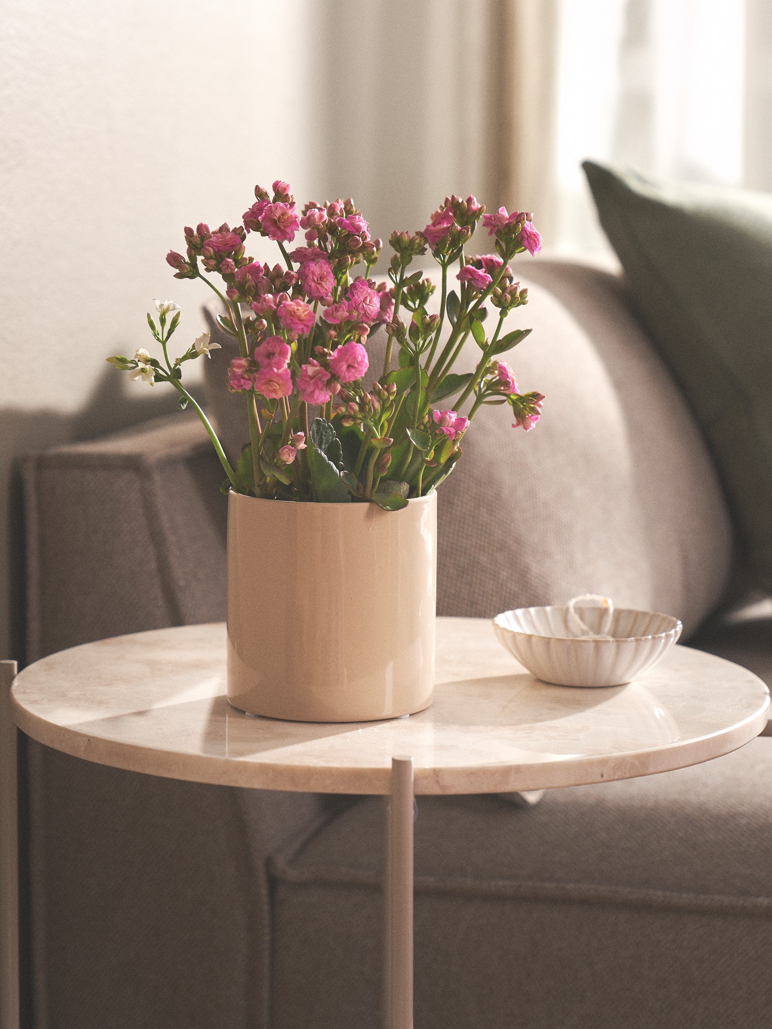 Flowerpot Porcelain. Ø10.5 x 11 cm.