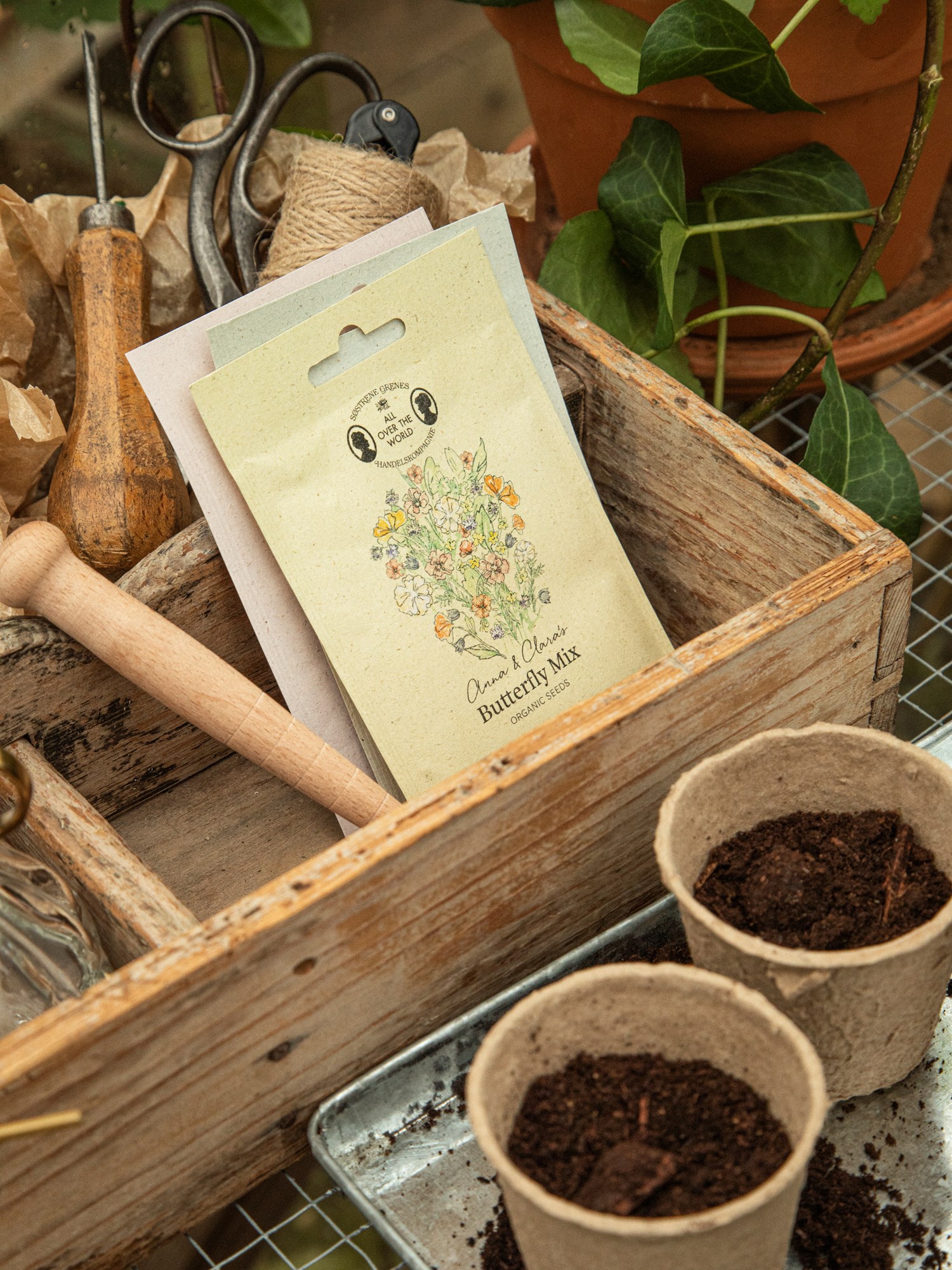 Organic butterfly mix seeds 0.75 g.